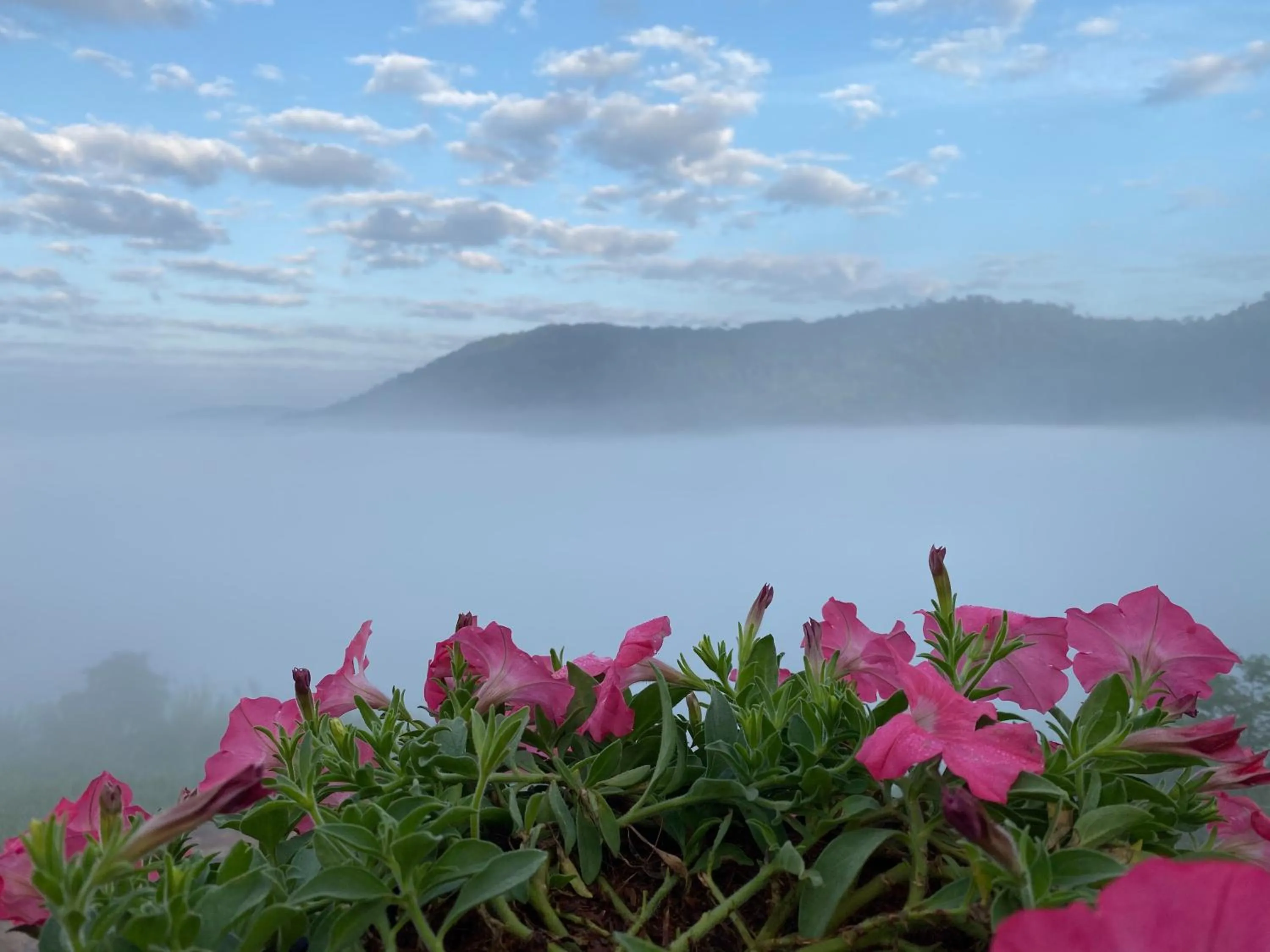 Natural landscape in Grand Kokkod Khao Kho Resort