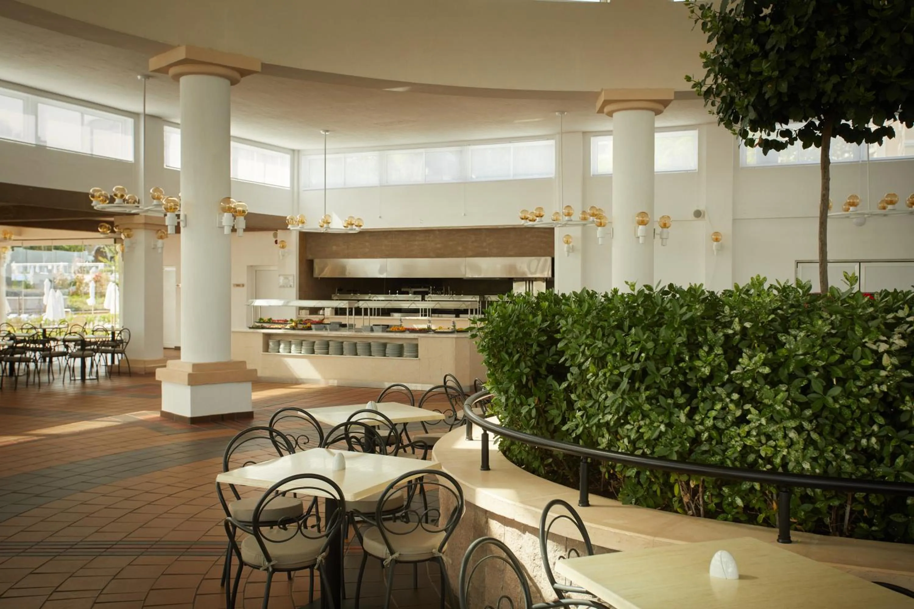 Restaurant/places to eat in Dreams Sunny Beach Resort and Spa - Premium All Inclusive