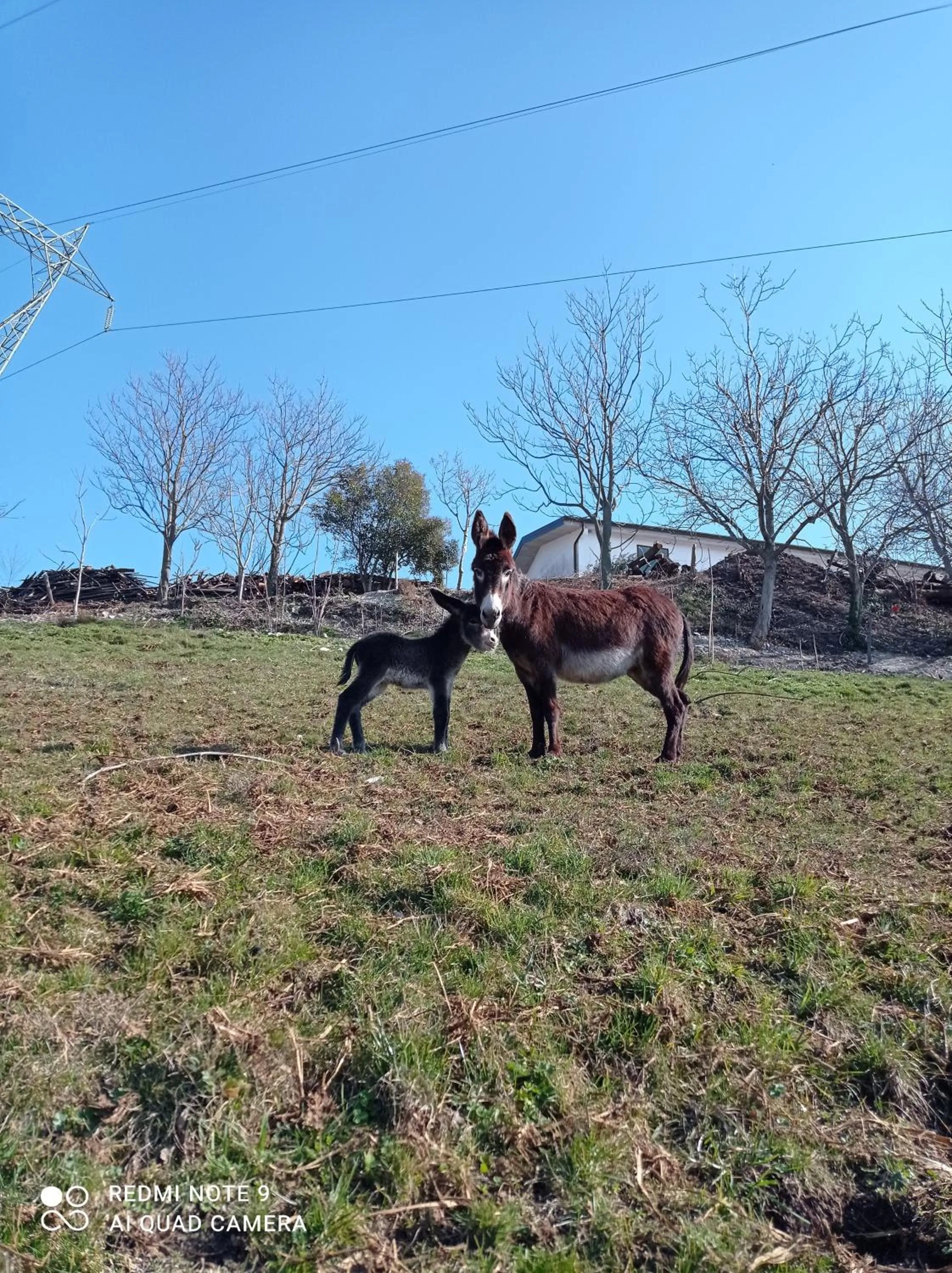 Agriturismo Corte Maccini