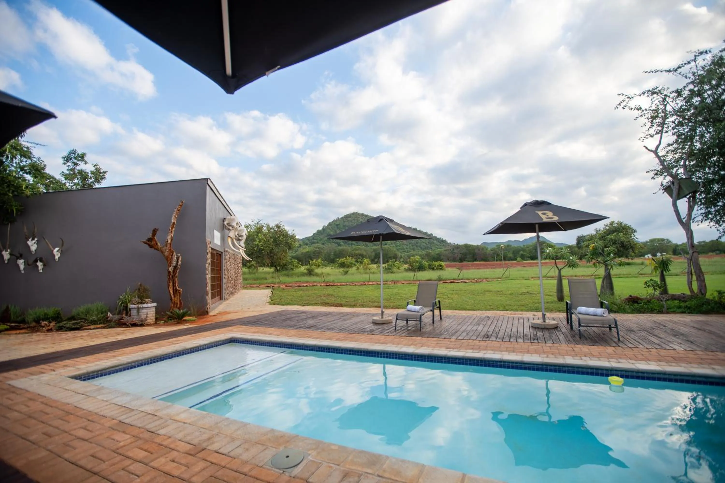 Pool view in Kilima Private Game Reserve & Spa