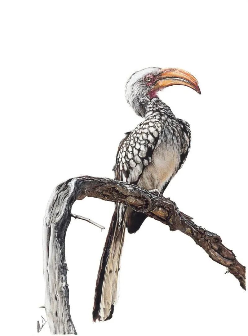 Animals in Kilima Private Game Reserve & Spa