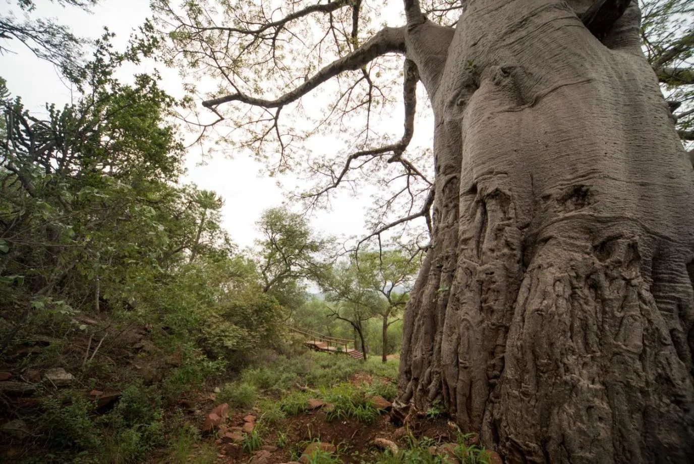 Property building in Kilima Private Game Reserve & Spa