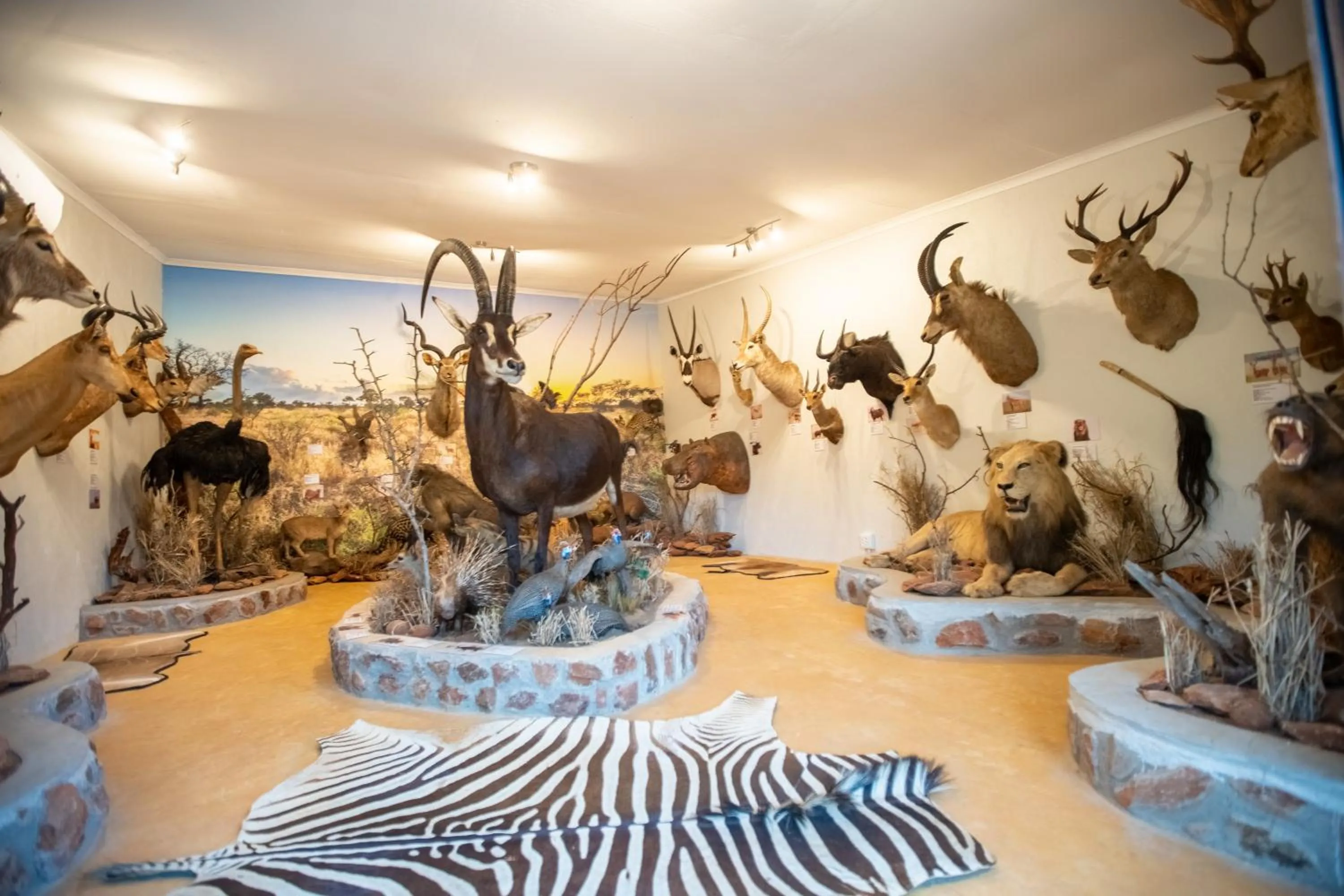 Property building in Kilima Private Game Reserve & Spa