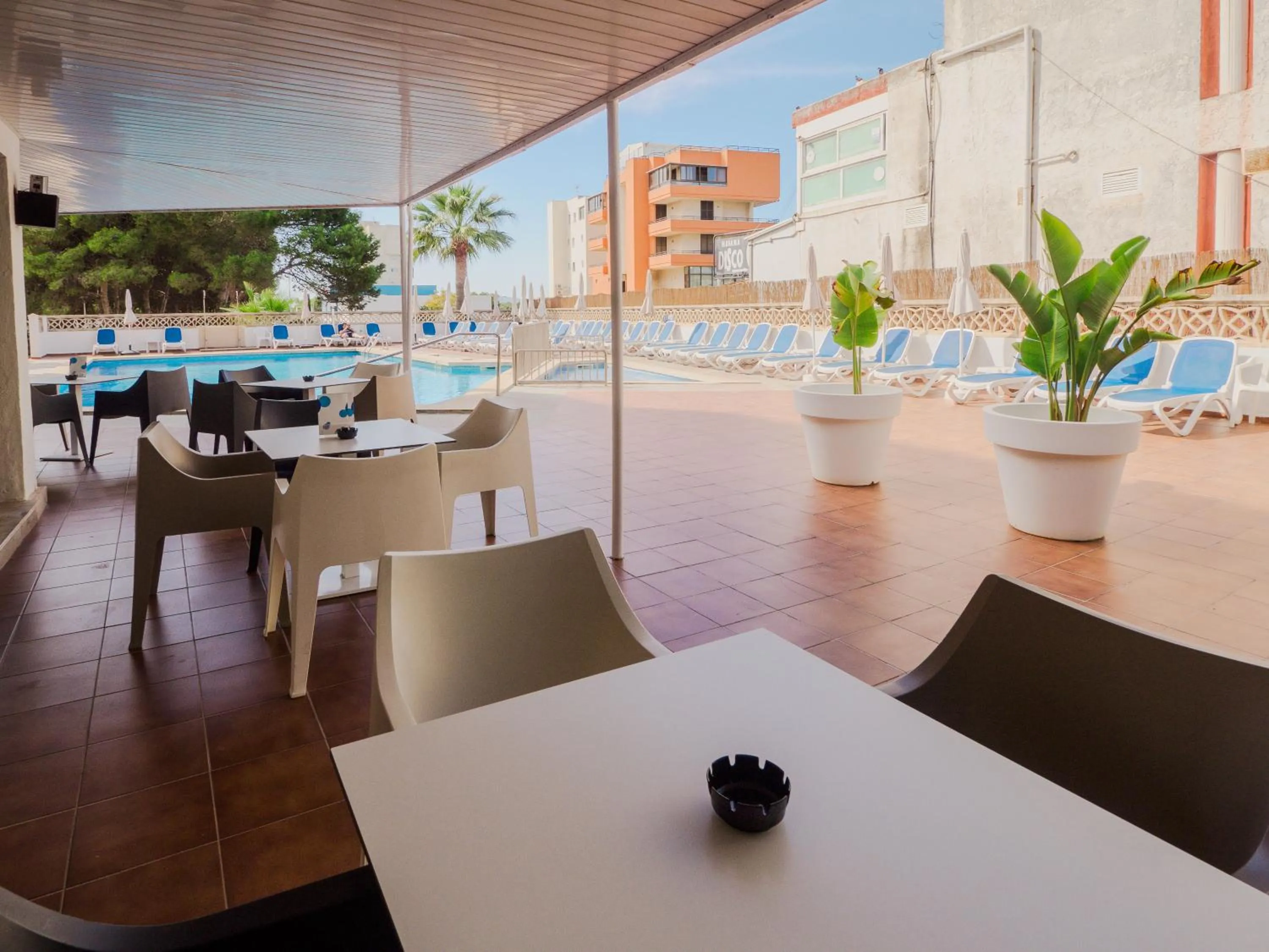 Pool view in Hotel Santa Maria Playa