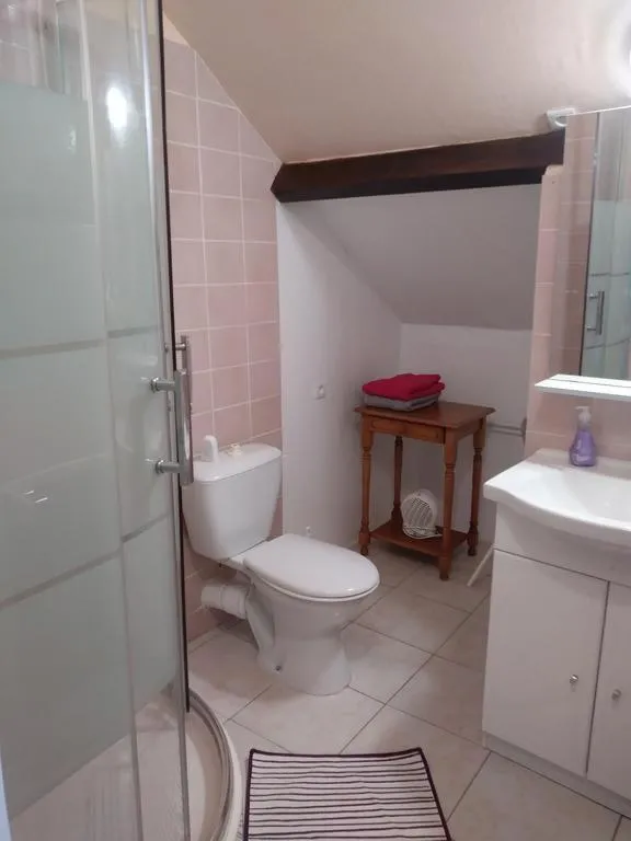 Bathroom in GITE LES HAUTES MOUGONNIERES