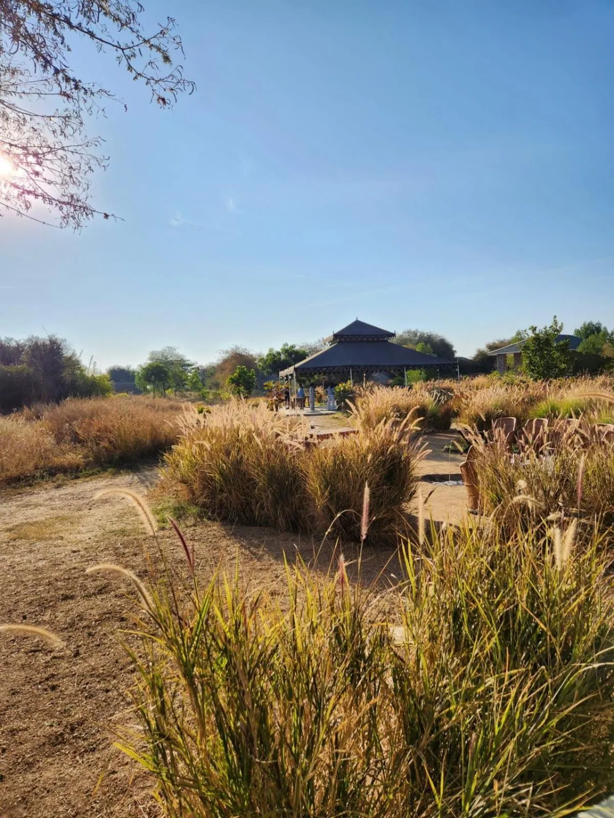View (from property/room) in Jawai Leopard Safari Lodge