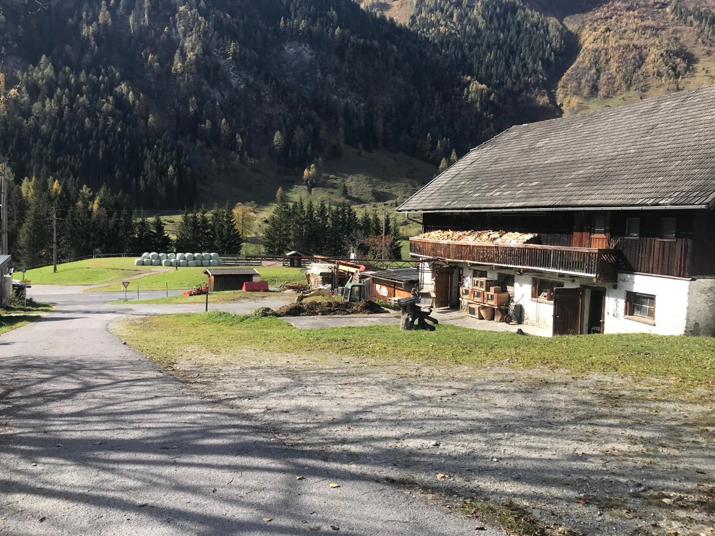 Horse-riding in Reiterhof Nigglgut