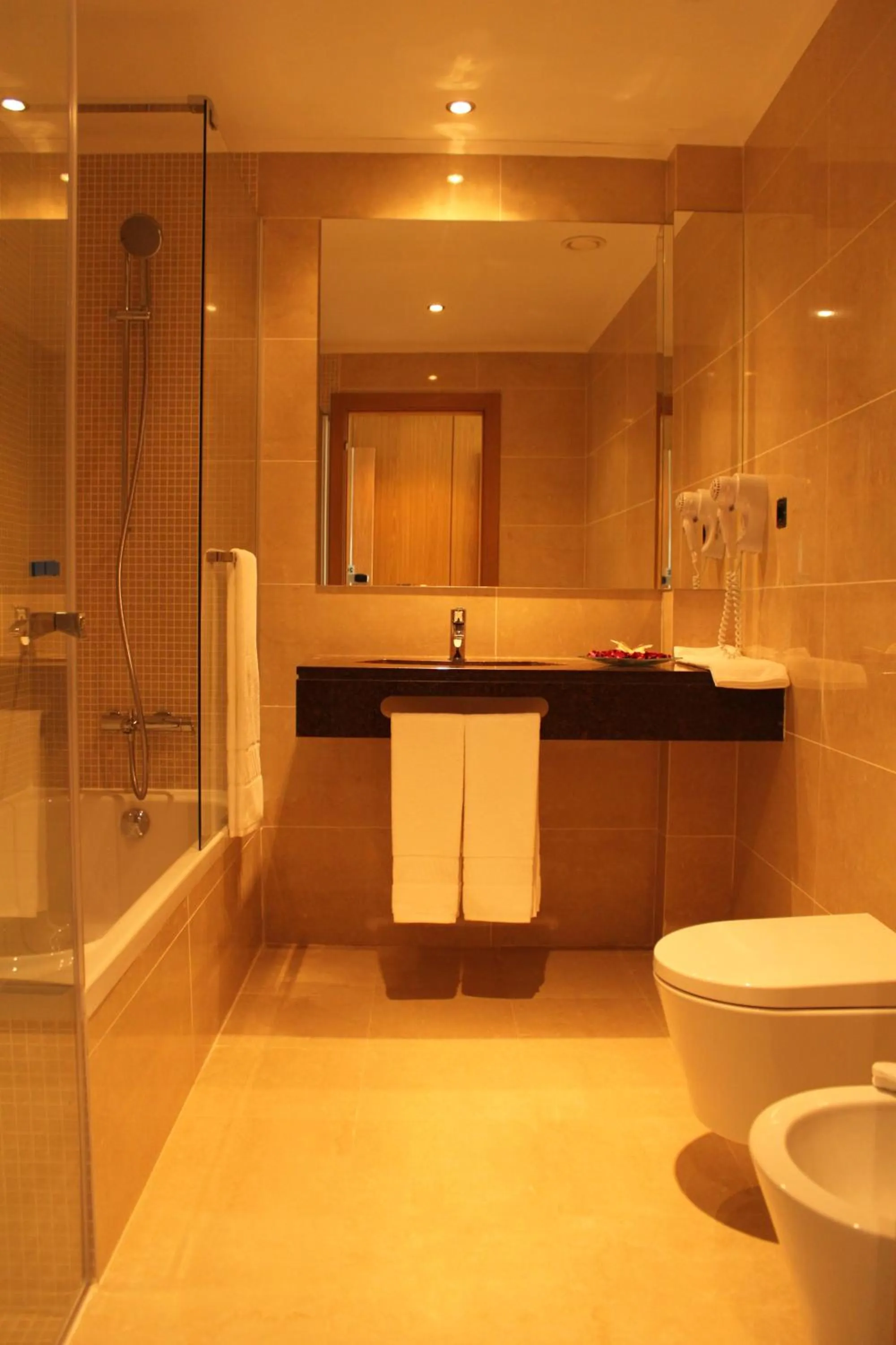 Toilet in Hotel O Gato & Spa