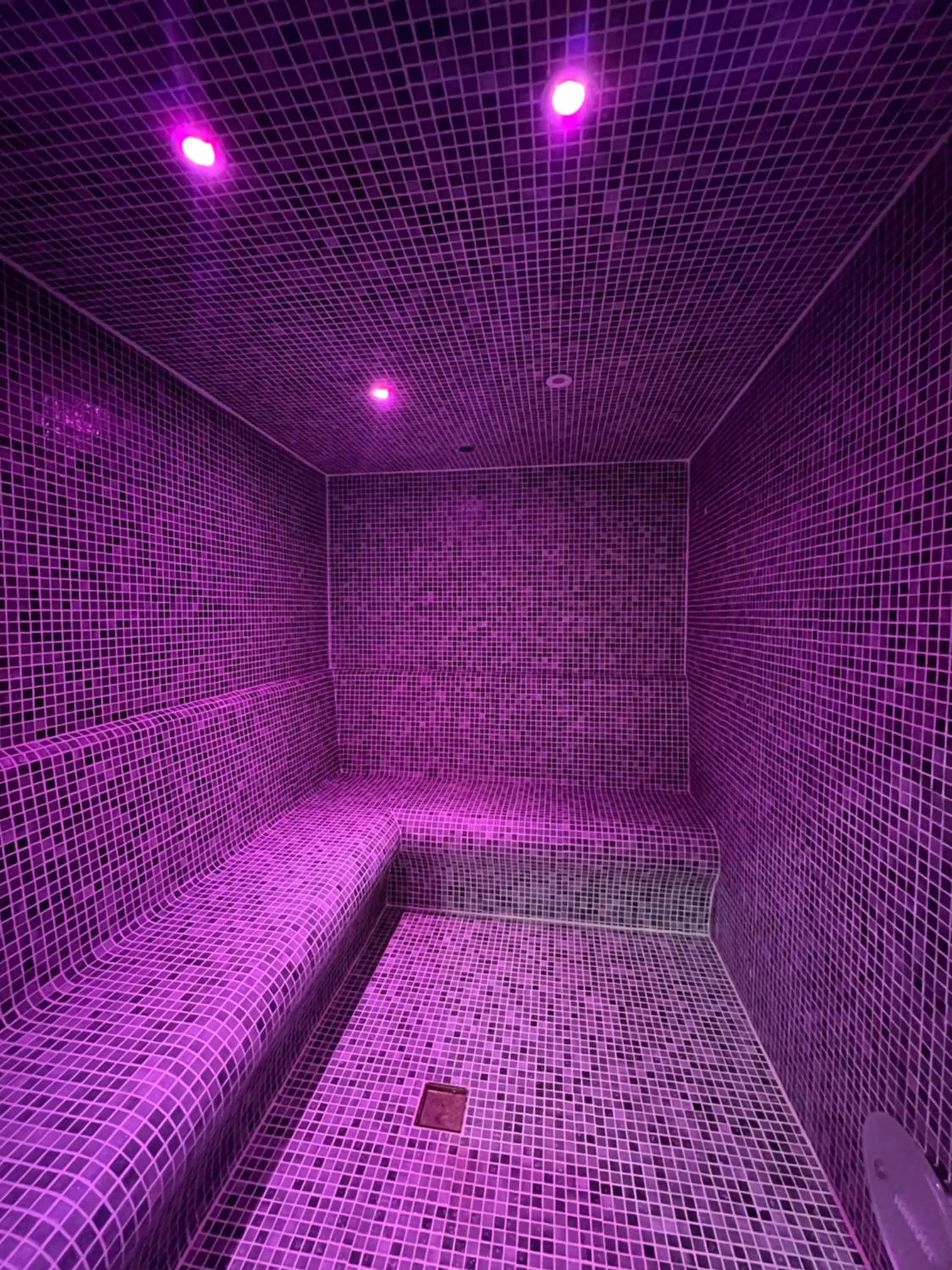Steam room, Bed in Hotel O Gato & Spa