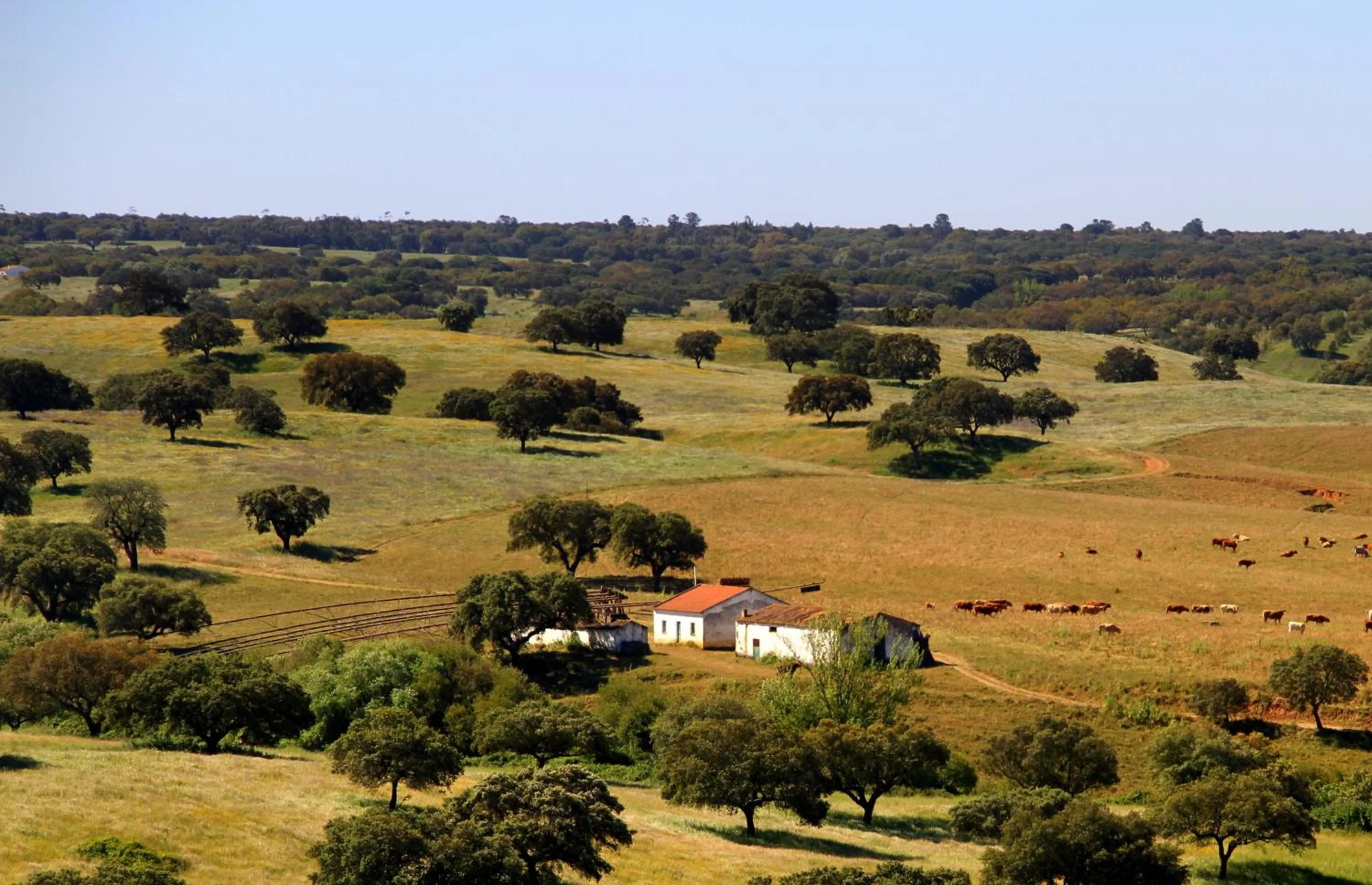 Natural landscape in Hotel O Gato & Spa