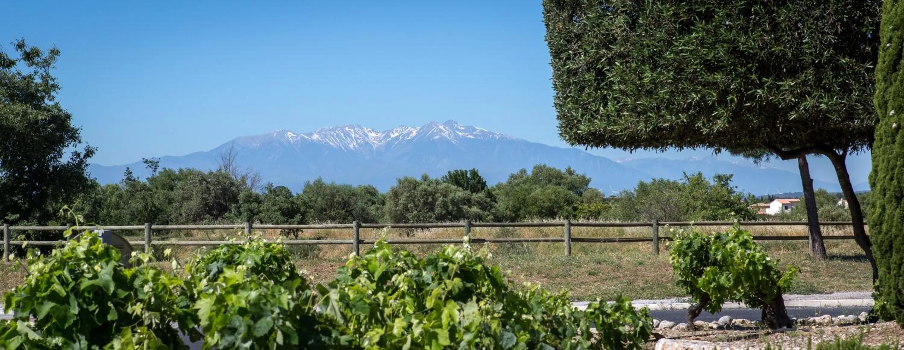 Natural landscape in Novotel Perpignan Nord Rivesaltes