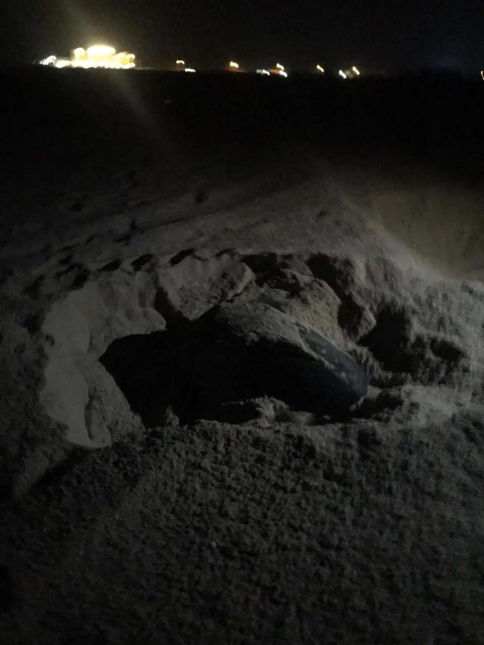 Property building in Al Asala Resort