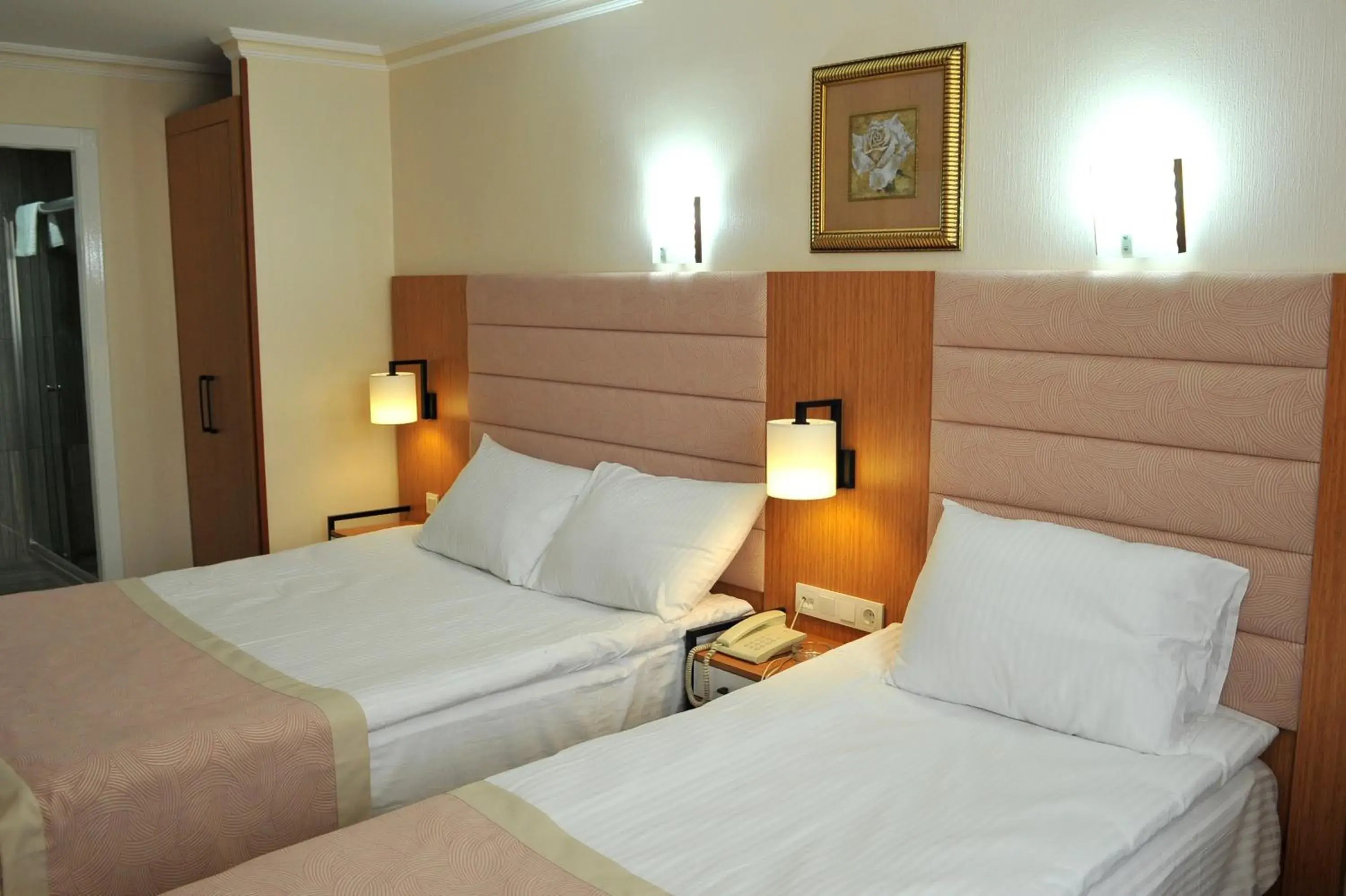 Standard Twin Room - single occupancy in Lion City Hotel Ankara Standard Twin Room - single occupancy in Lion City Hotel Ankara