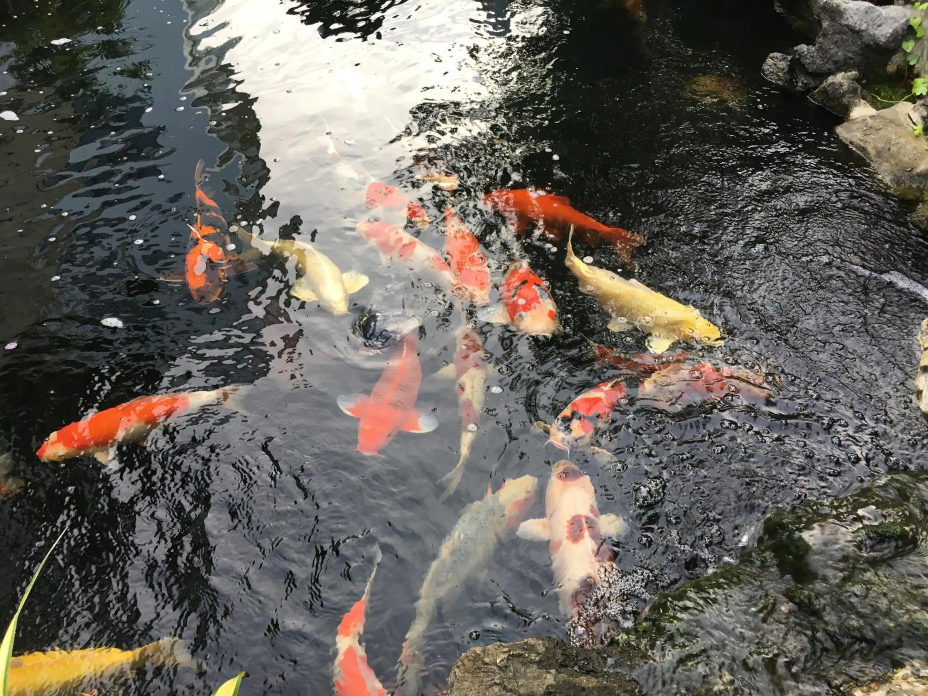 Riverside Impression Villa