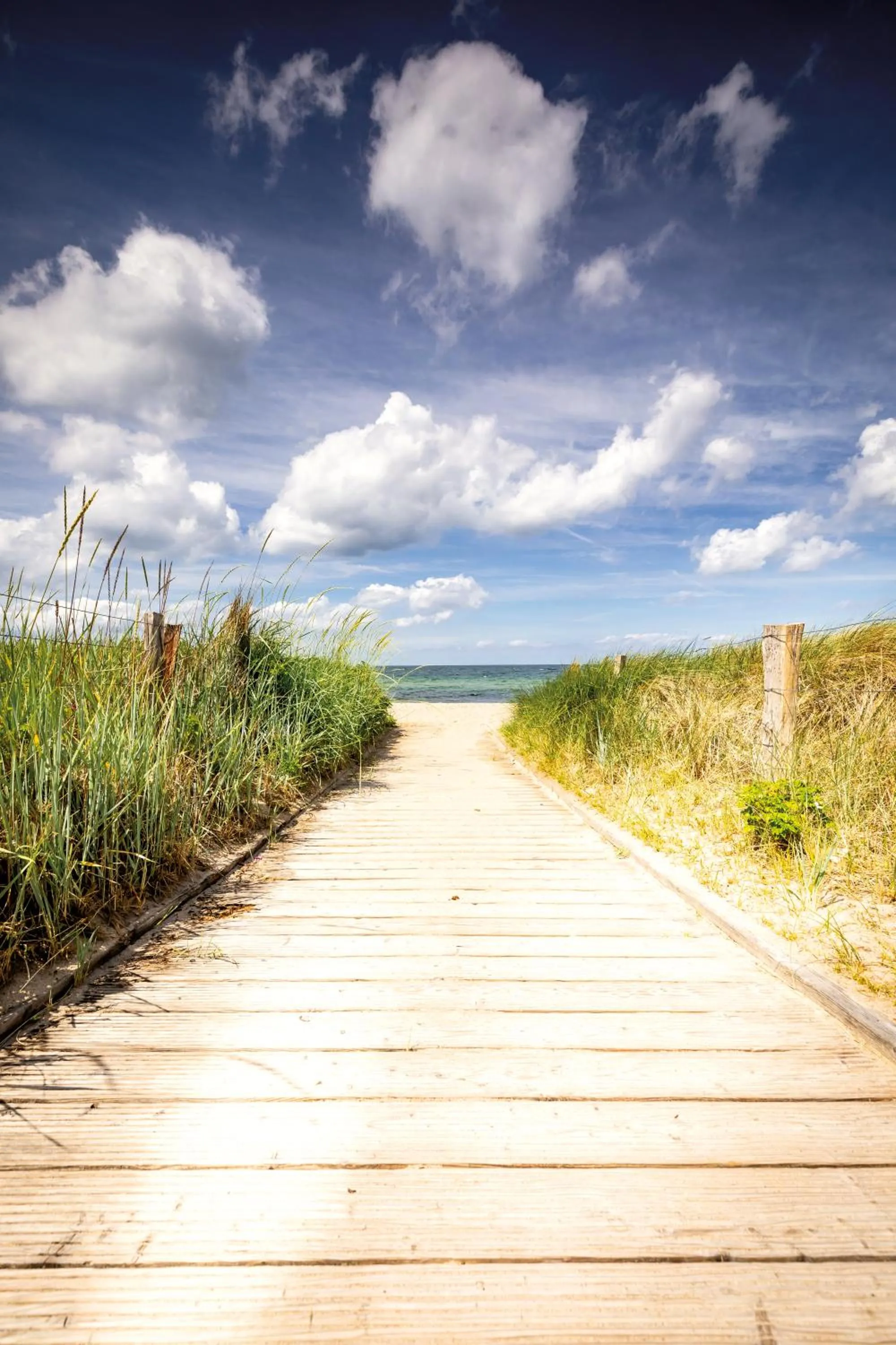 Beach in Weissenhaus Private Nature Luxury Resort