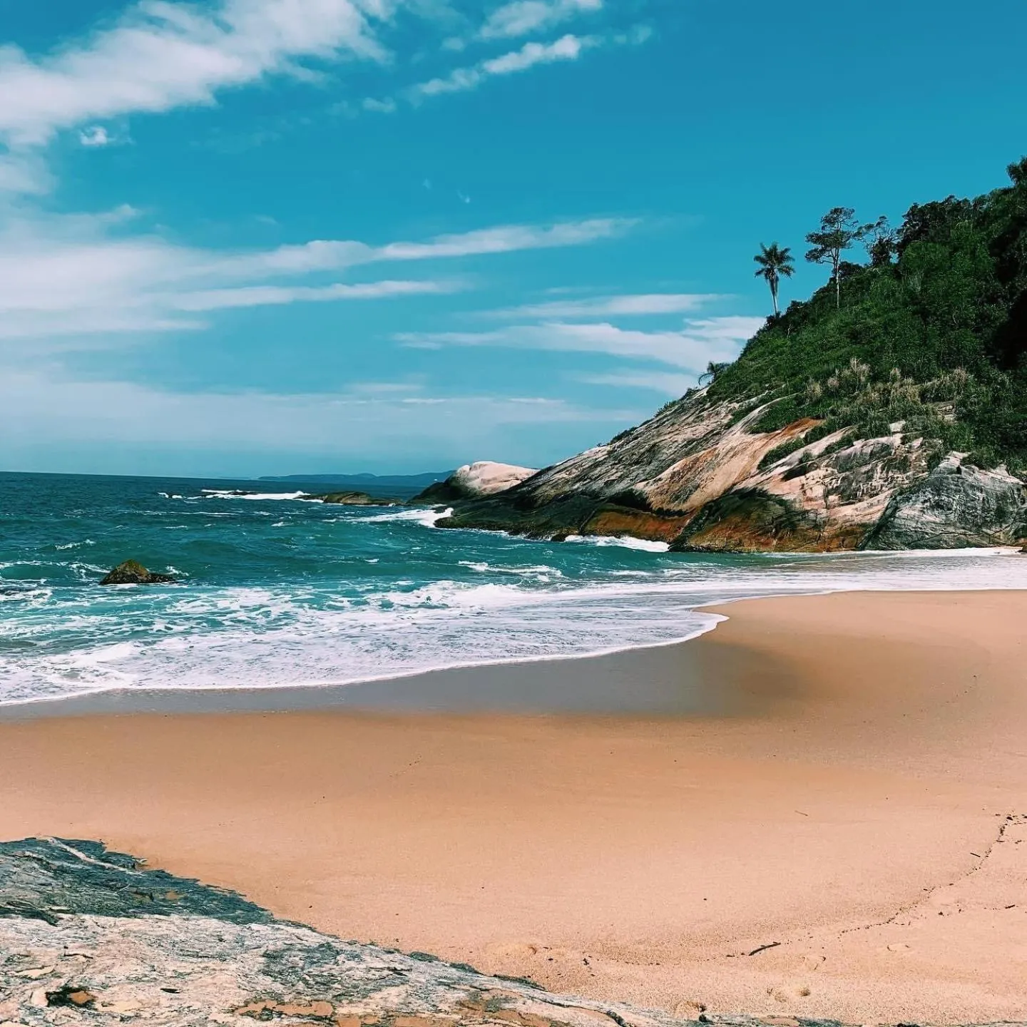 Natural landscape in Paraiso do Estaleirinho - Balneario Camboriu