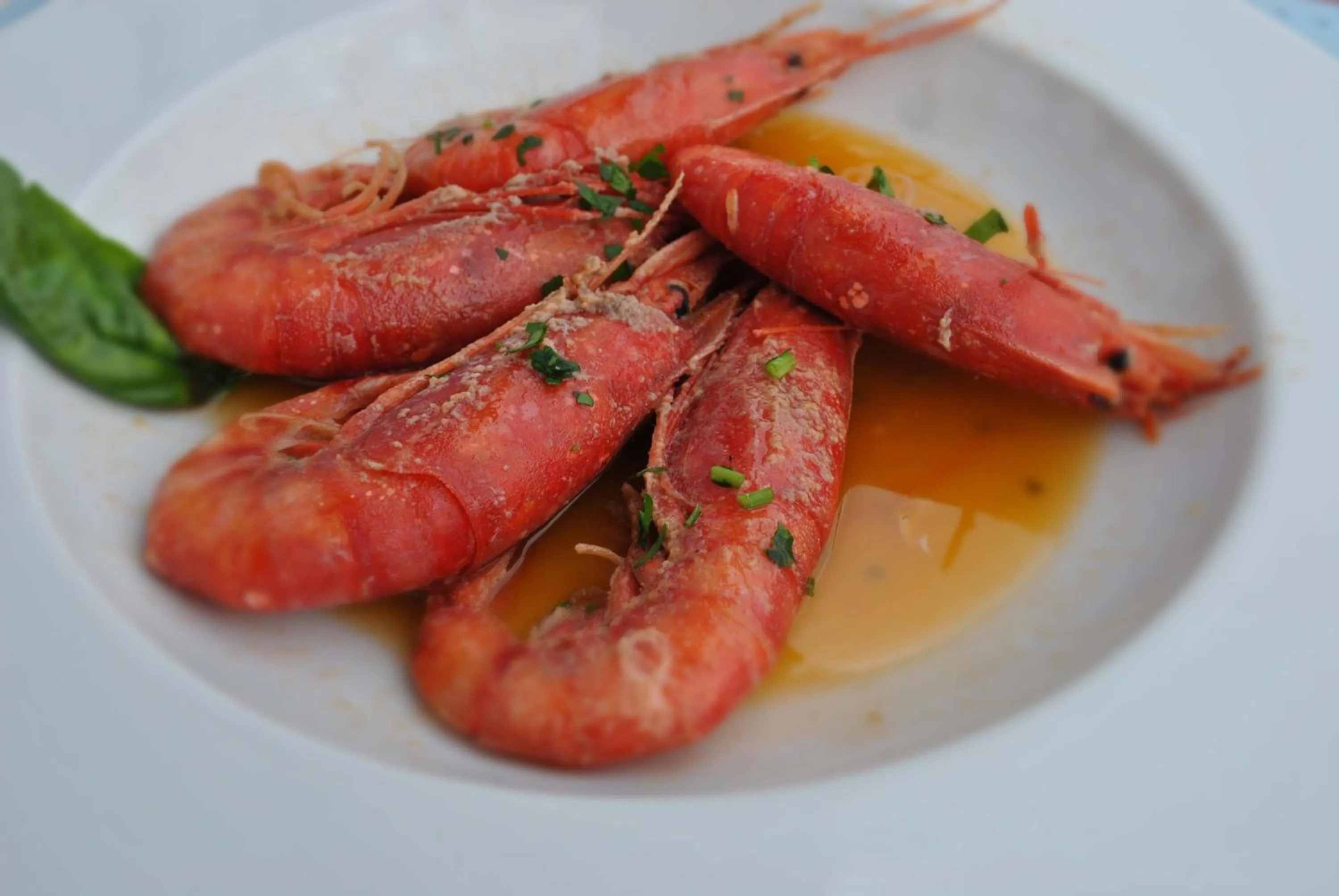 Restaurant/places to eat in Locanda Da Renzo