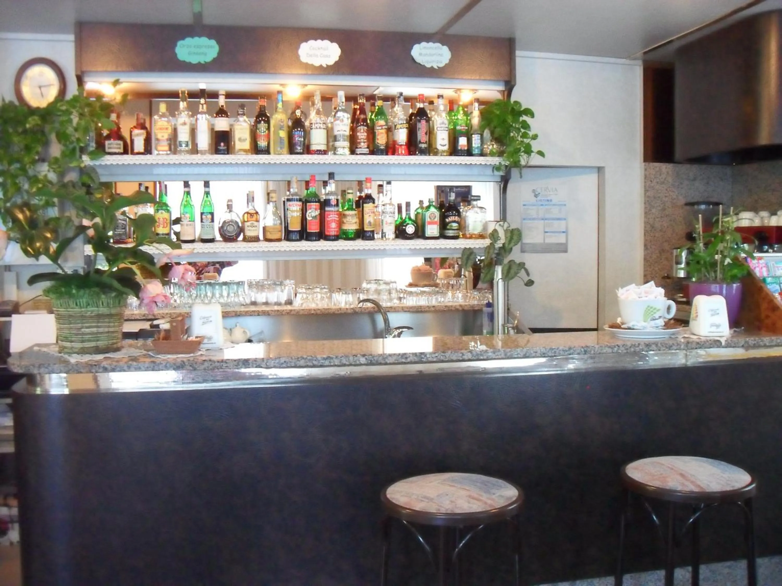 Lounge or bar in Hotel Zani