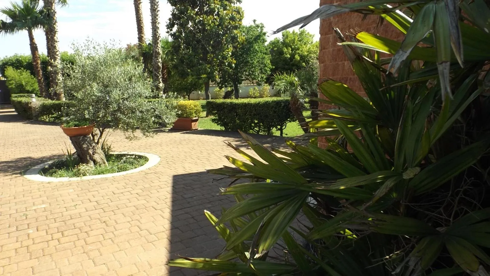 Garden in Villetta Del Salento Exclusive B&B
