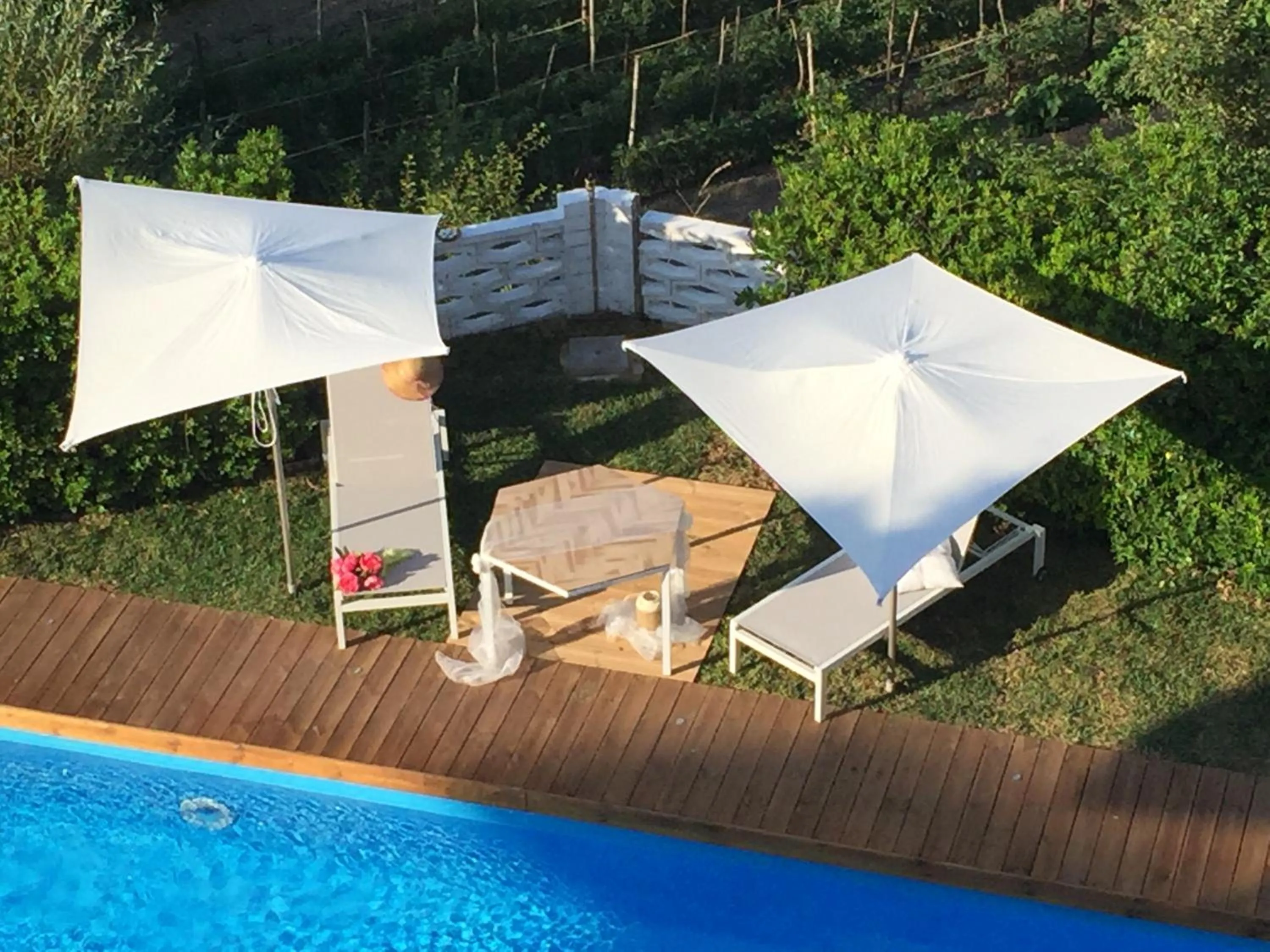 Garden in Albergo Ristorante Cavaliere