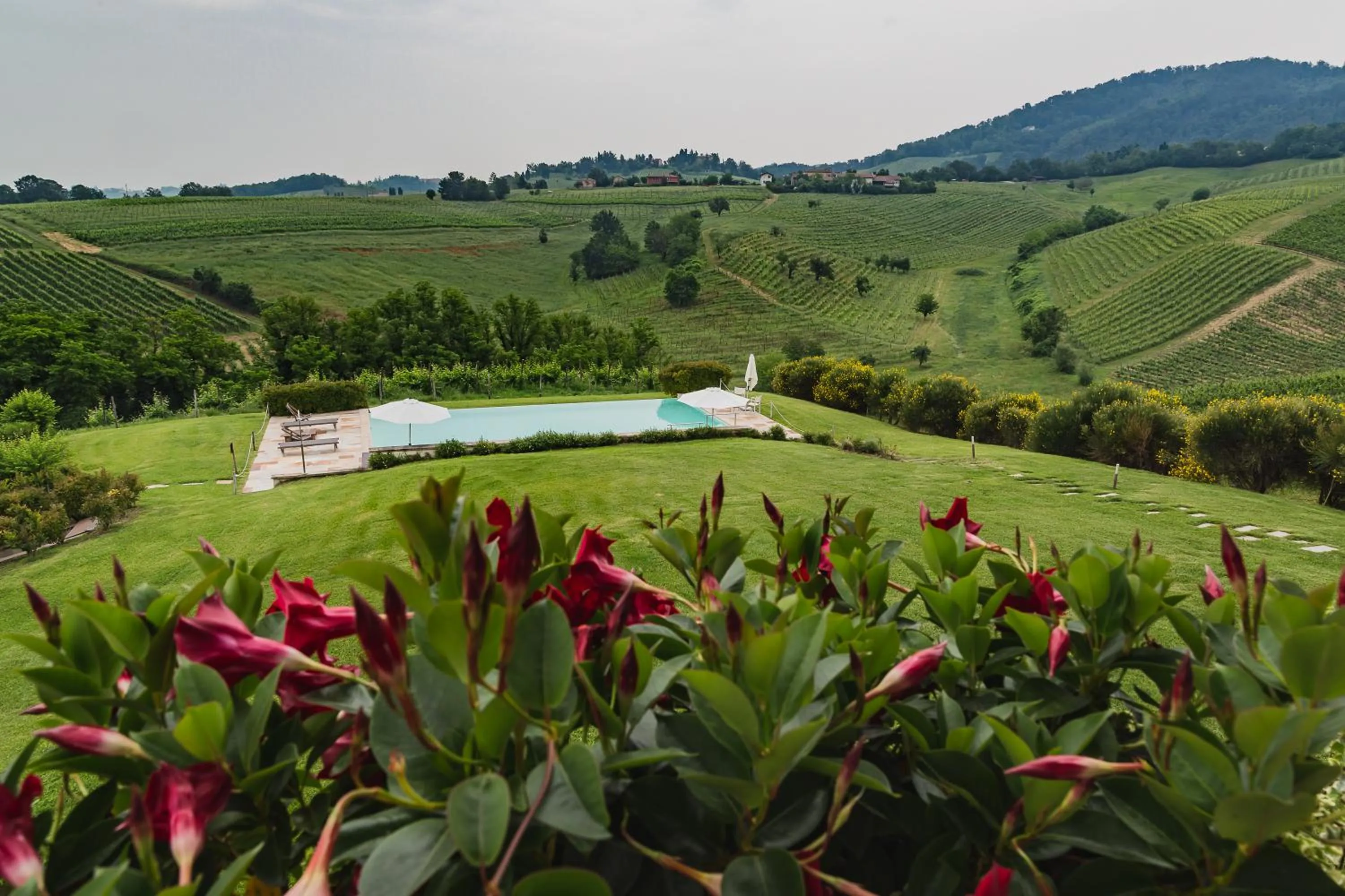 Natural landscape in Prime Alture Wine Resort
