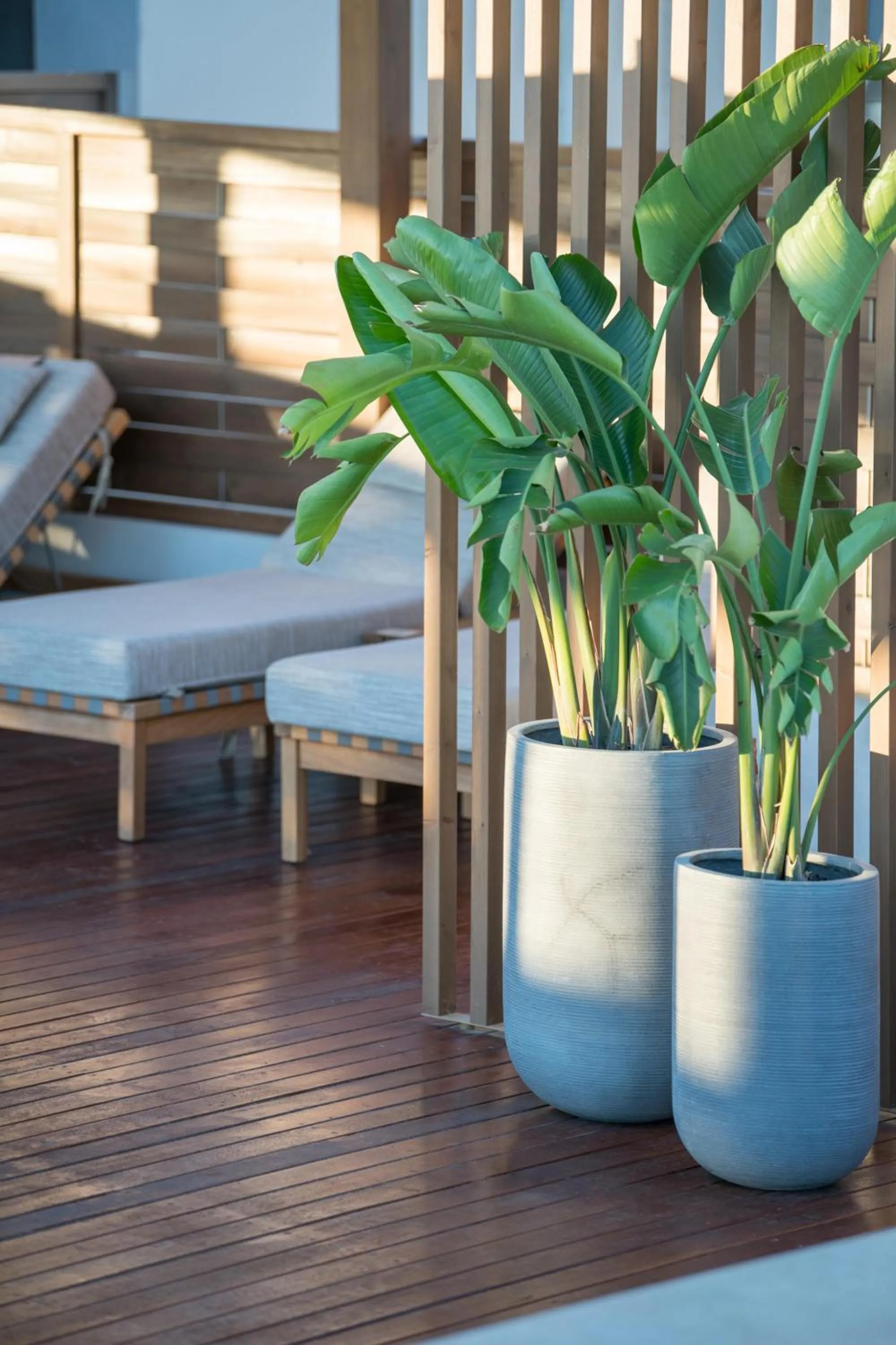 Swimming pool in AKASHA Beach Hotel & Spa