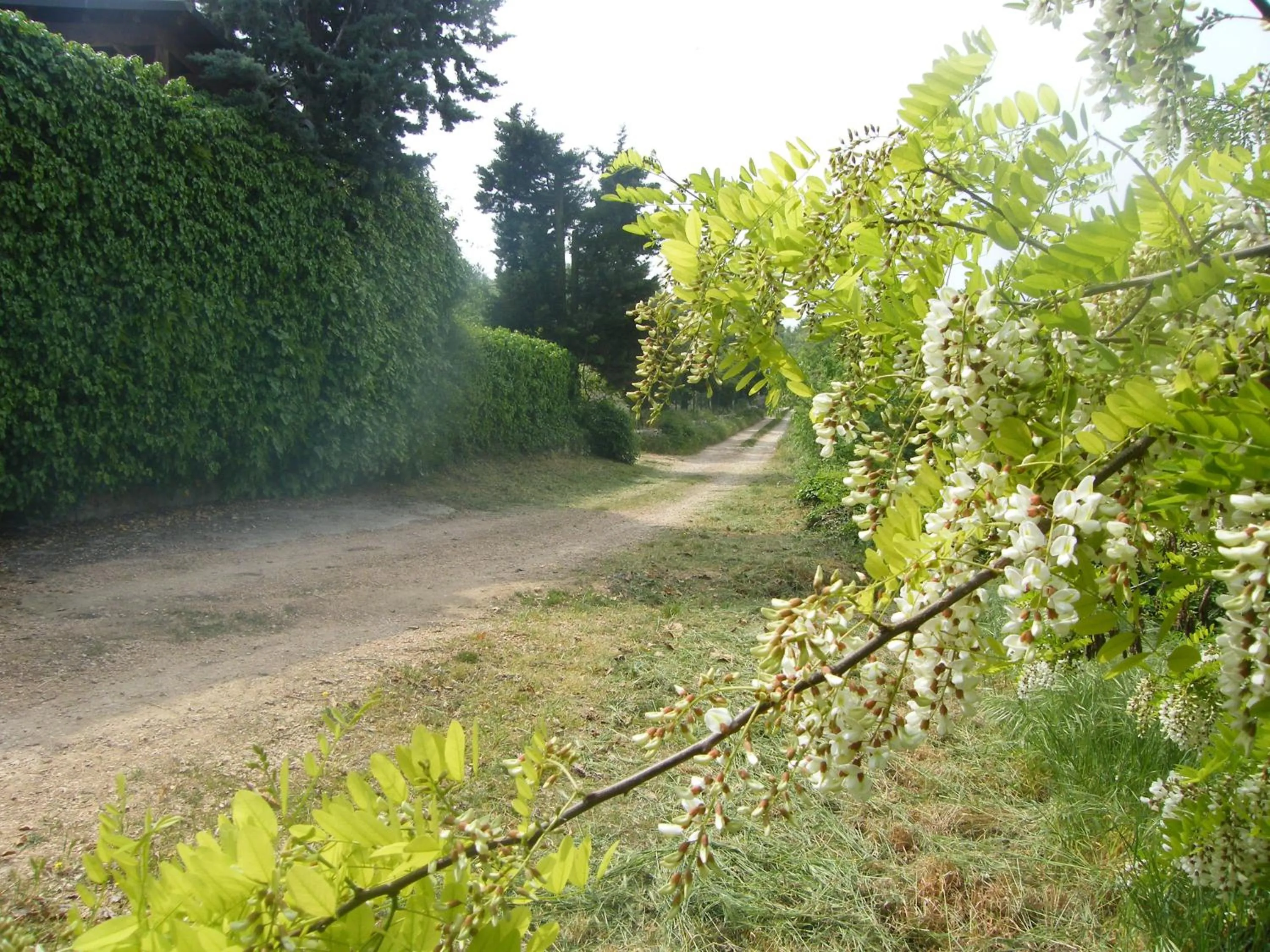 On site in B&B Ca' Morino