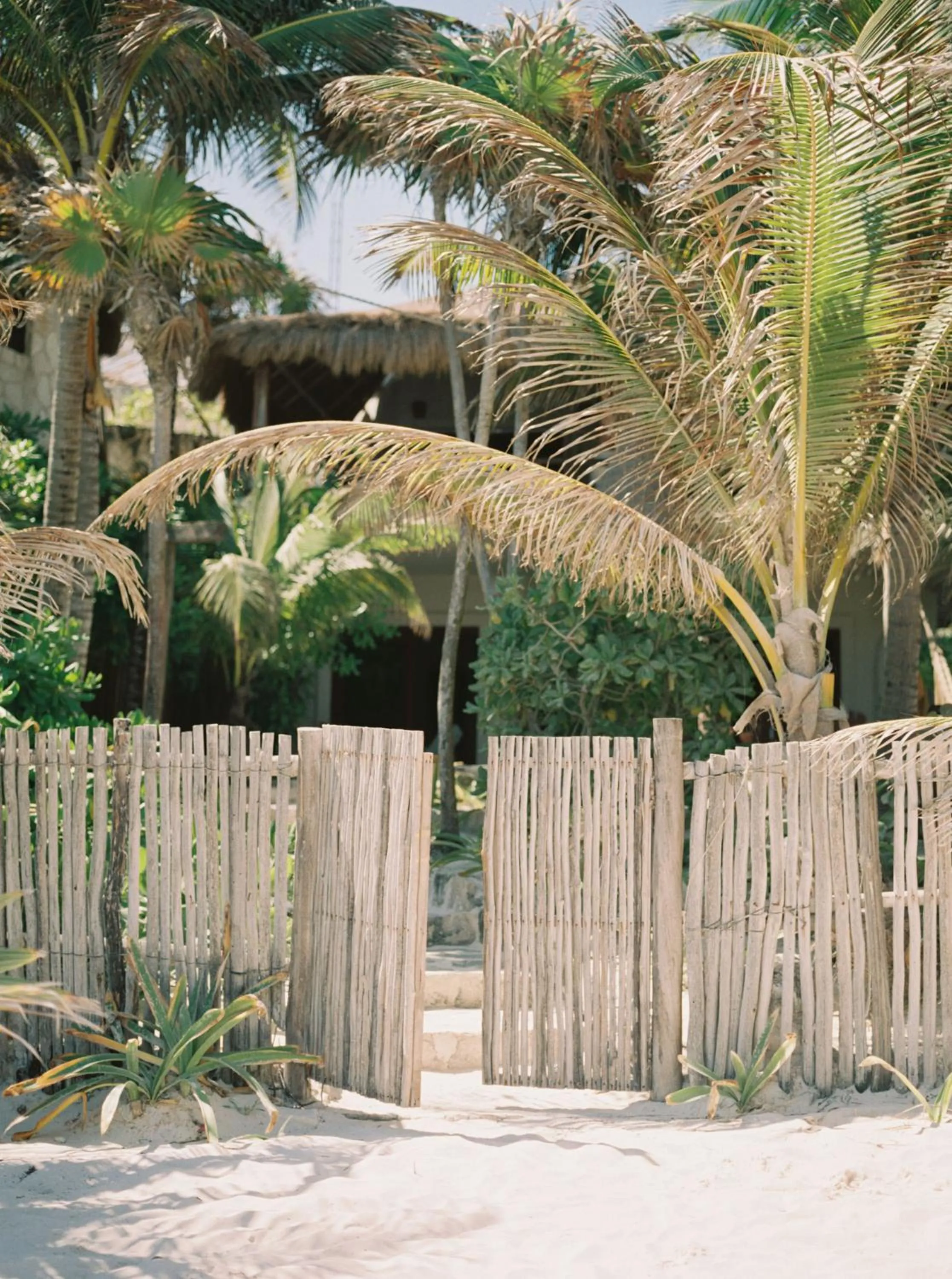 Sea view in NEST Tulum