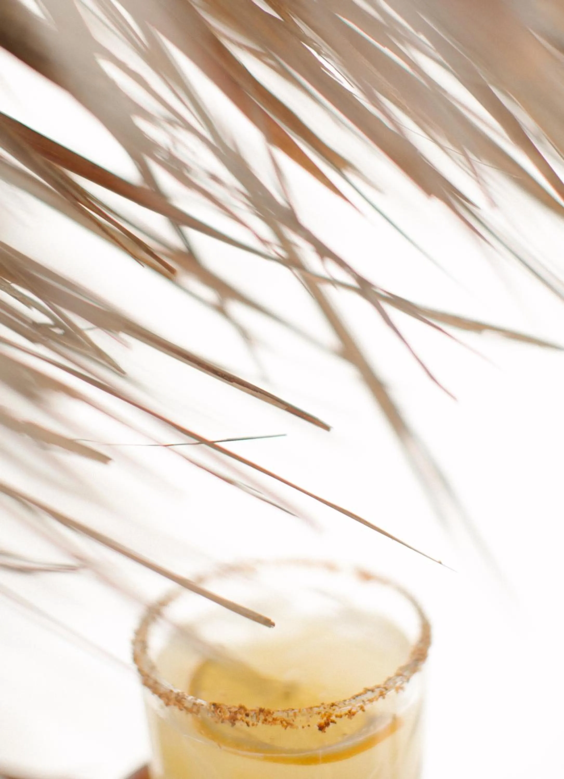 Drinks in NEST Tulum