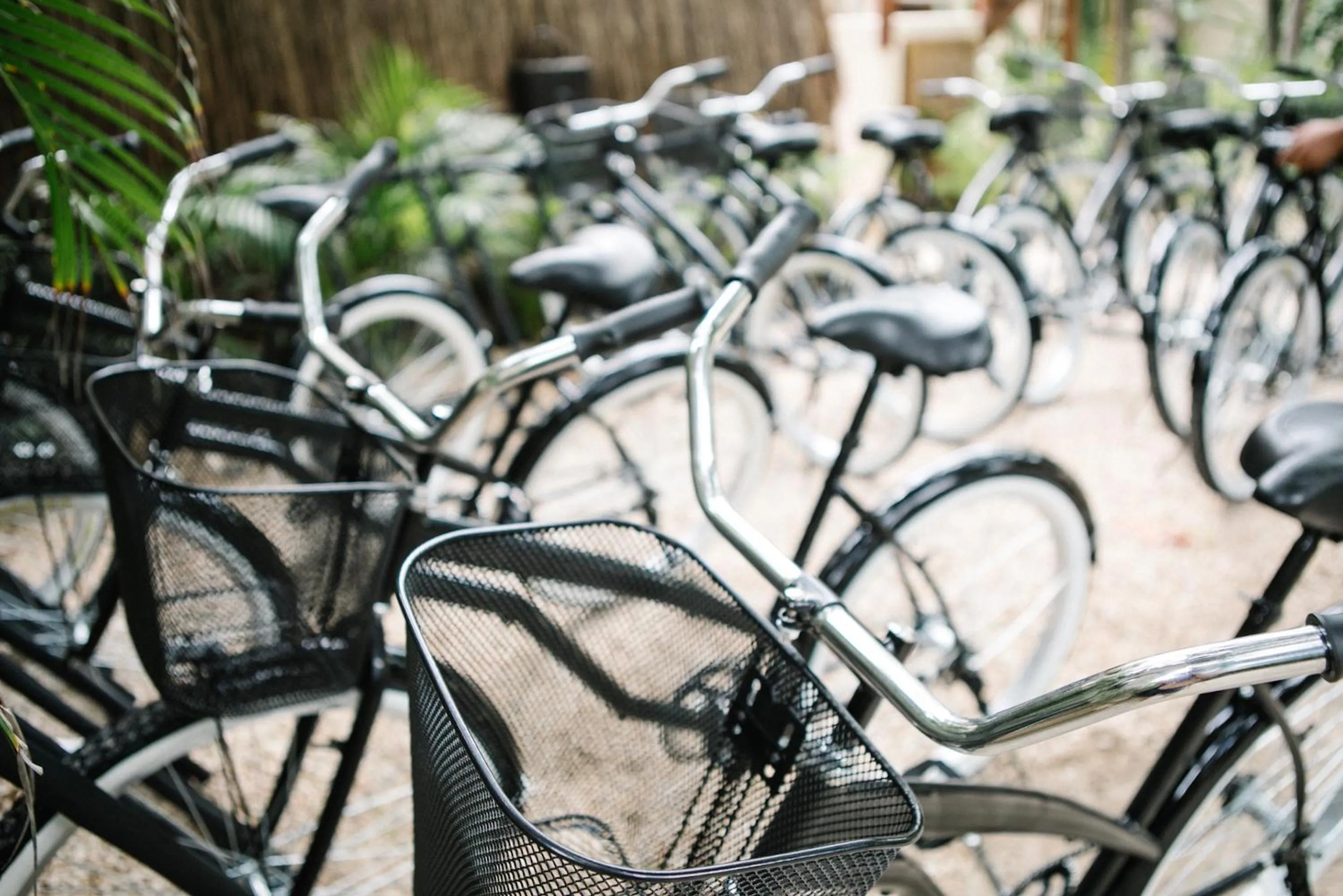 Cycling in NEST Tulum