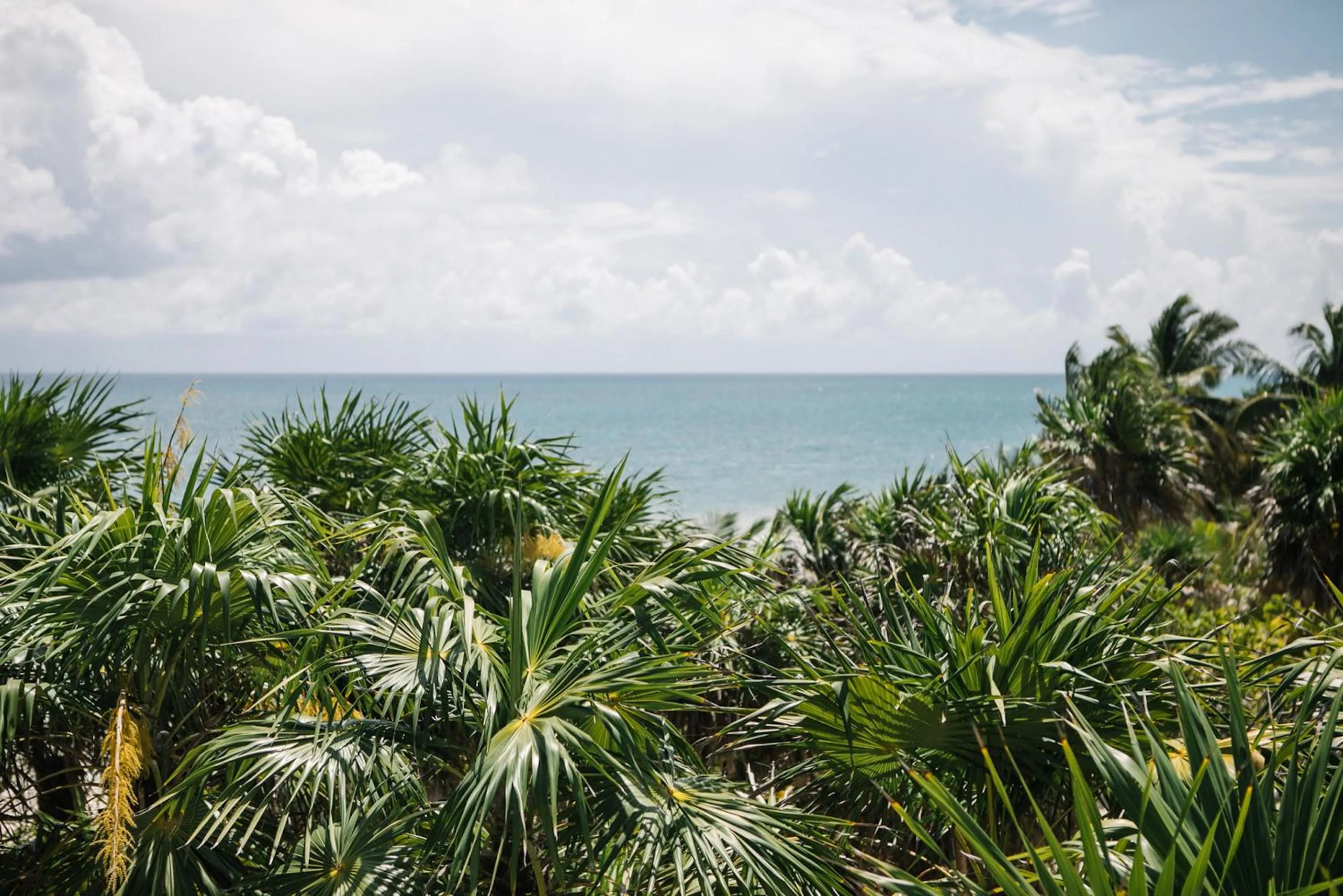 Sea view in NEST Tulum