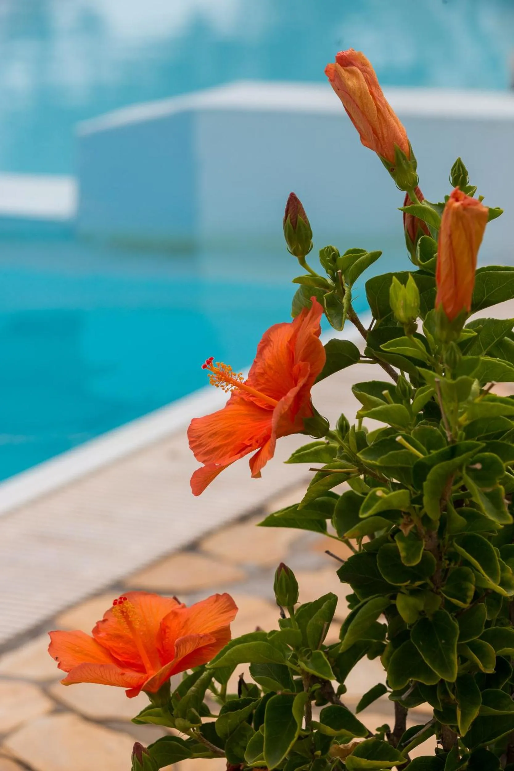 Spring in Resort Capo Bianco