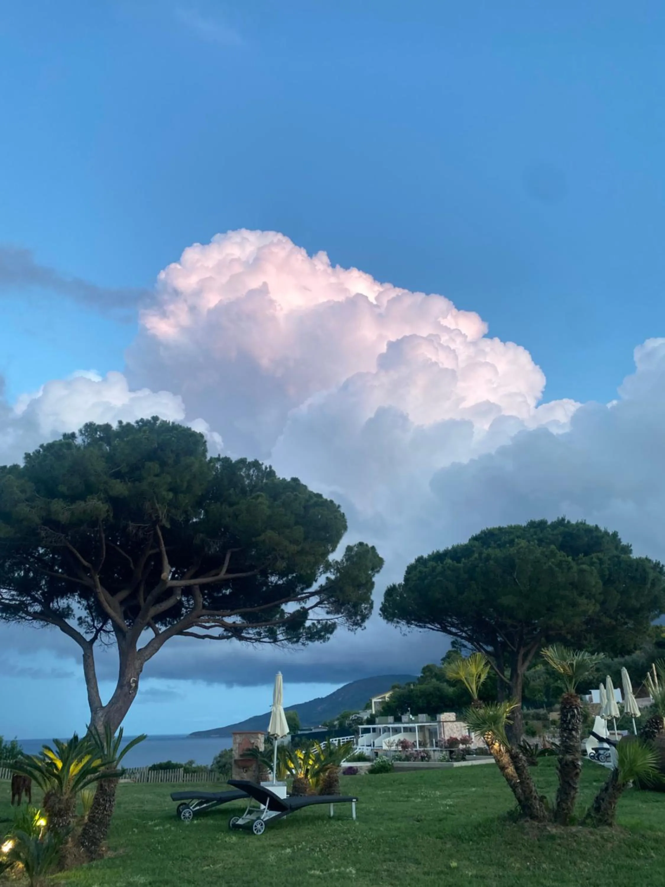 Garden in Resort Capo Bianco