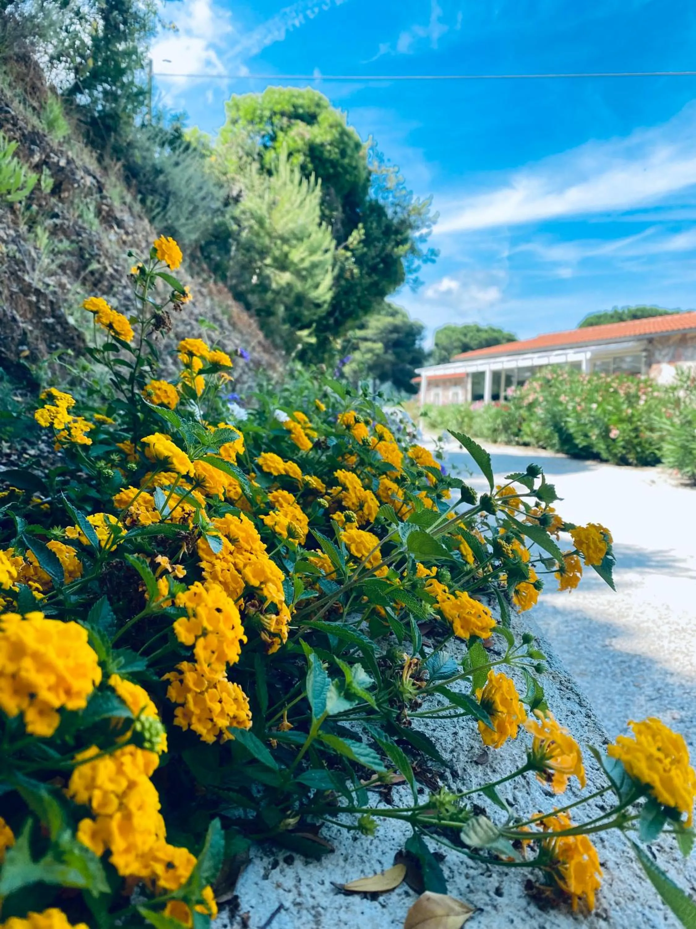 Garden in Resort Capo Bianco
