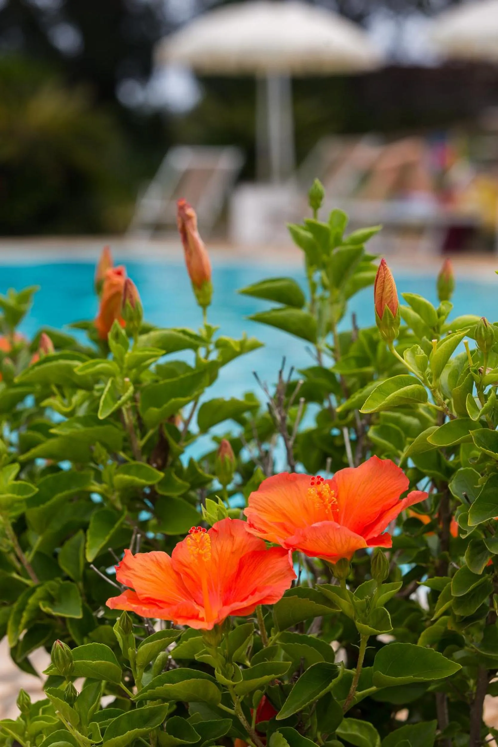 Spring in Resort Capo Bianco