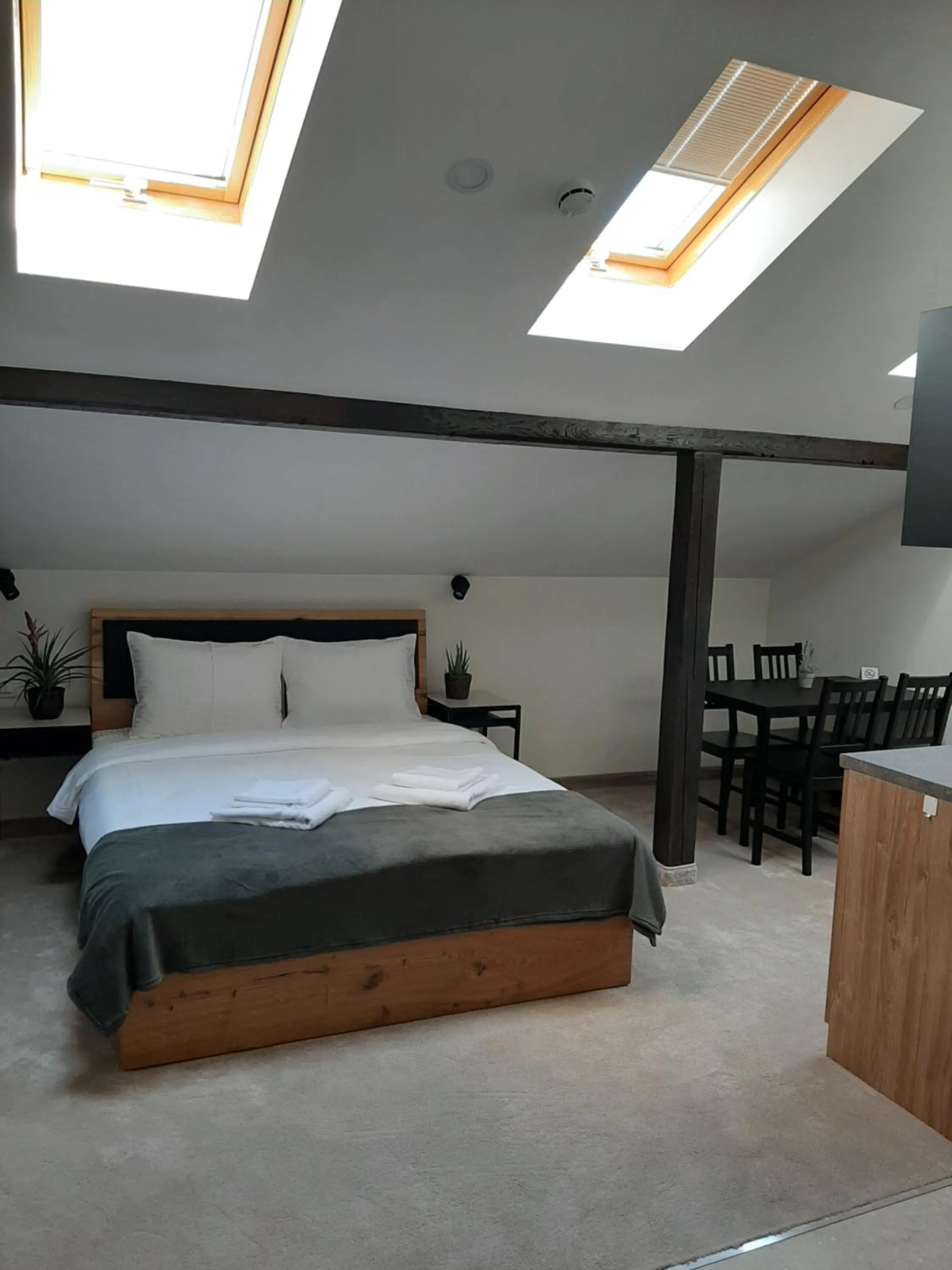 Studio Apartment in Urban Lodge Belgrade
