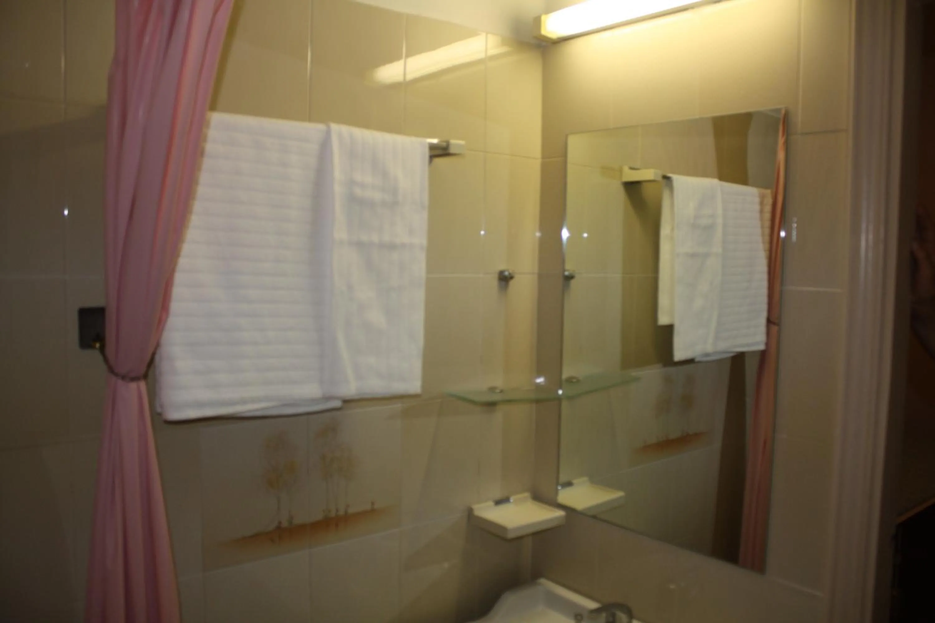 Bathroom in Albergo Villa Dionori