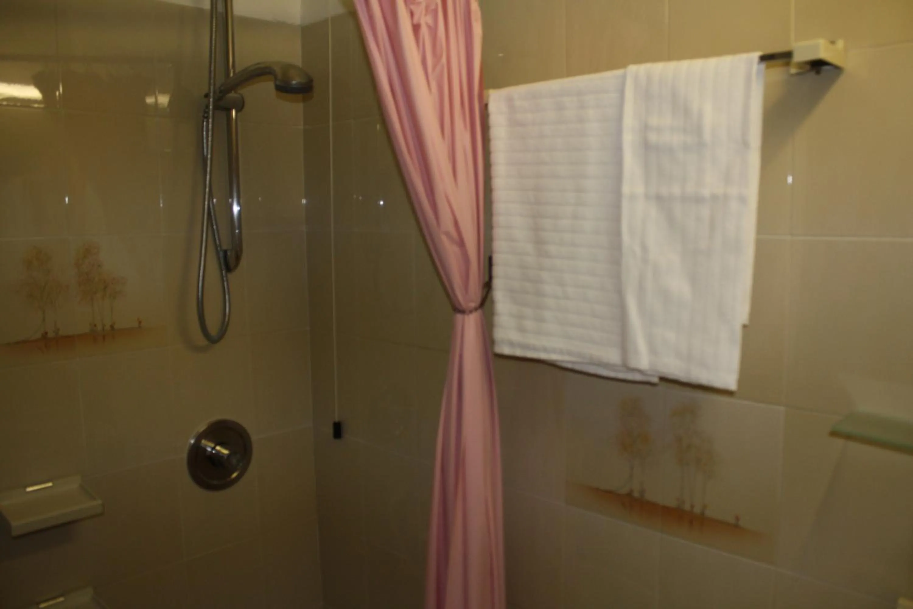 Shower in Albergo Villa Dionori