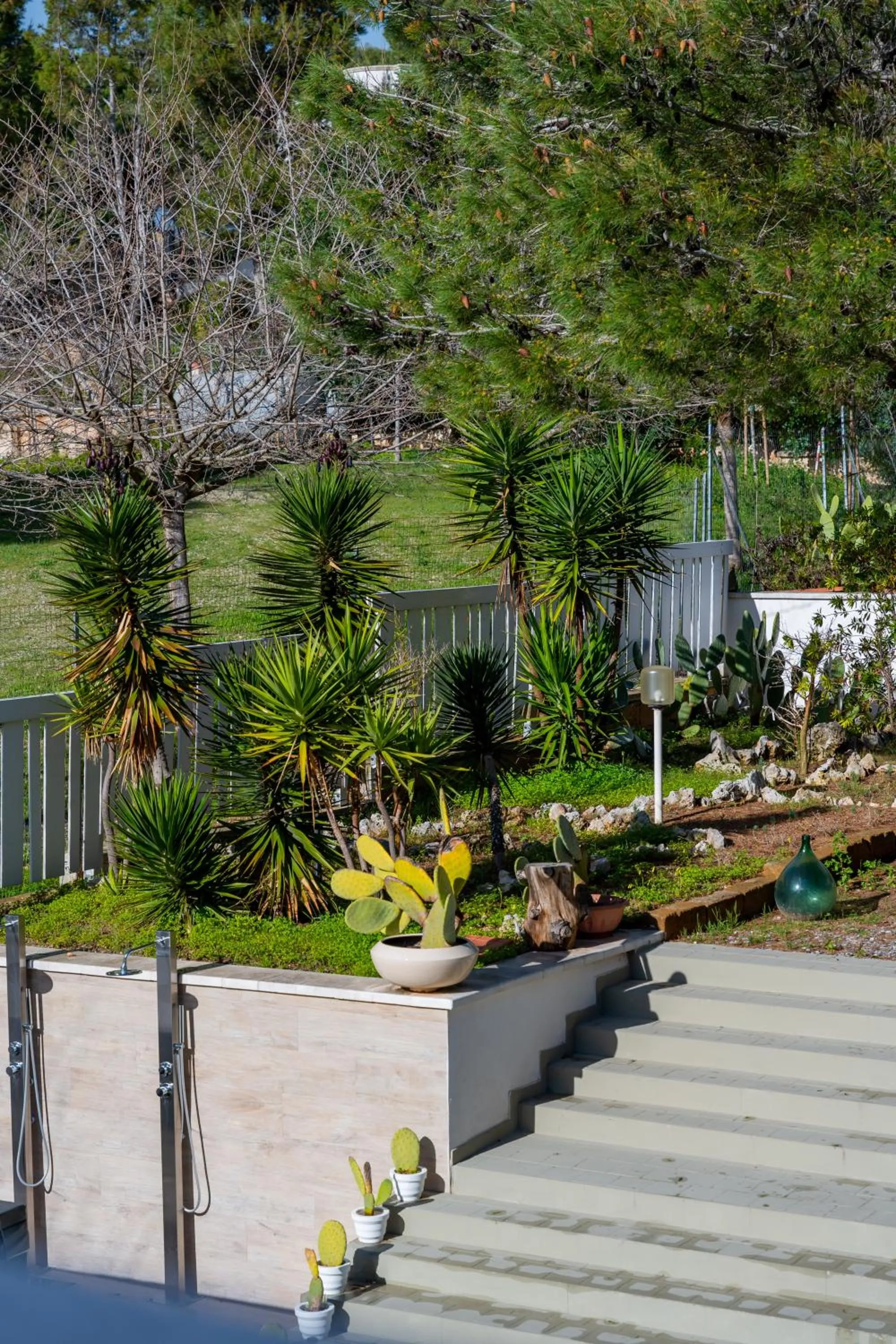 Garden in The Garden