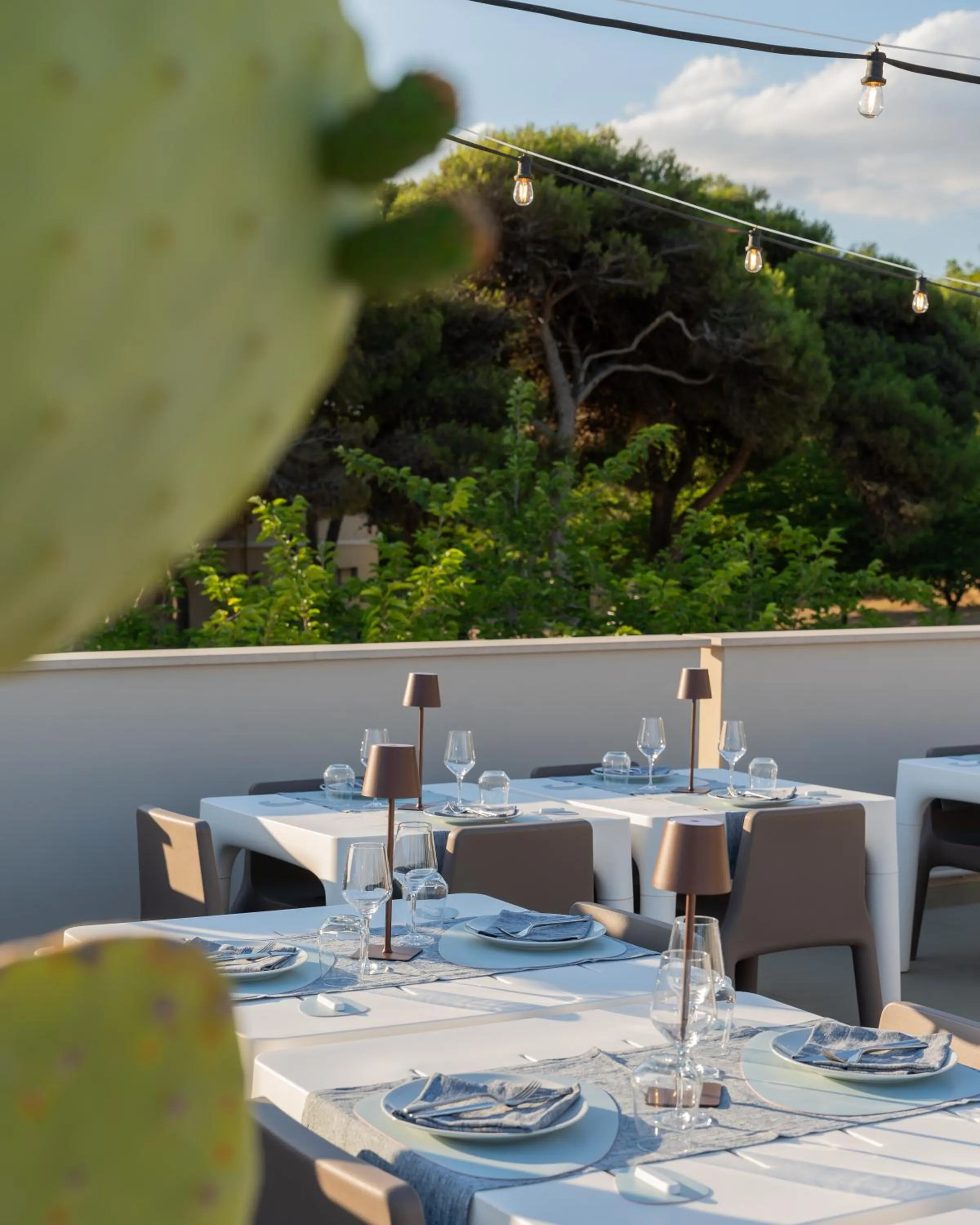 Restaurant/places to eat in The Garden