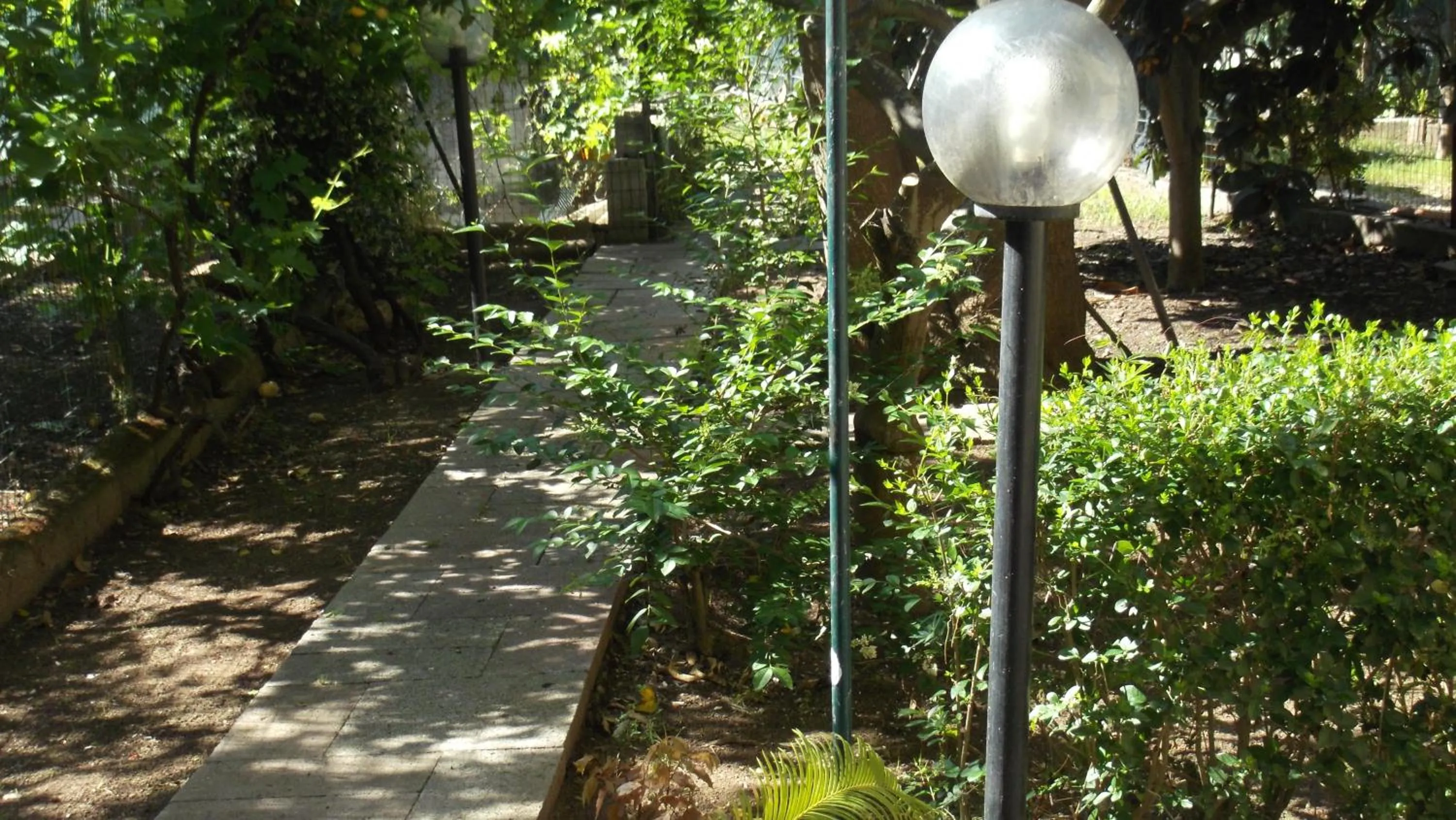 Garden in Solimarina