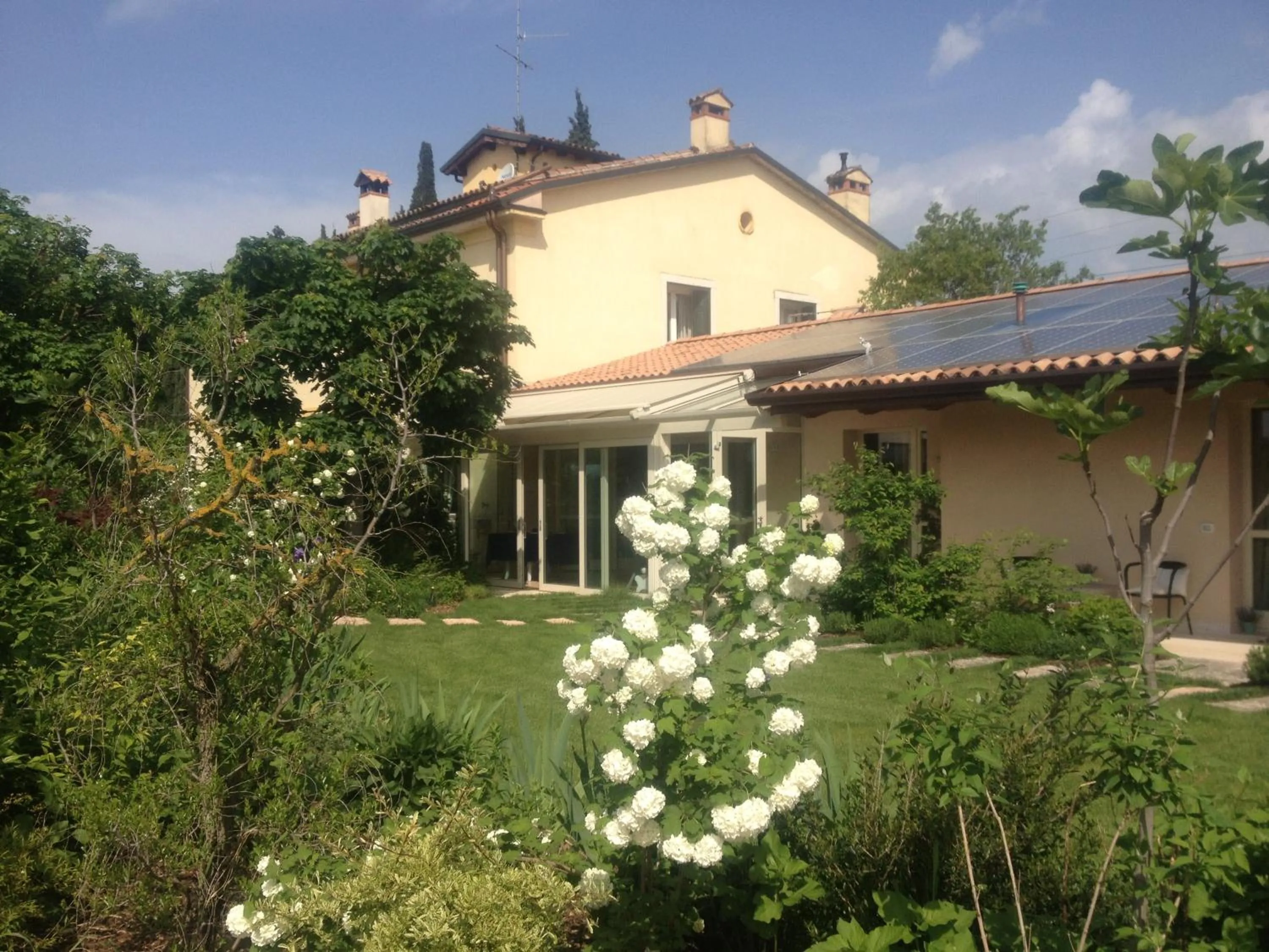 Garden in Boccadibacco
