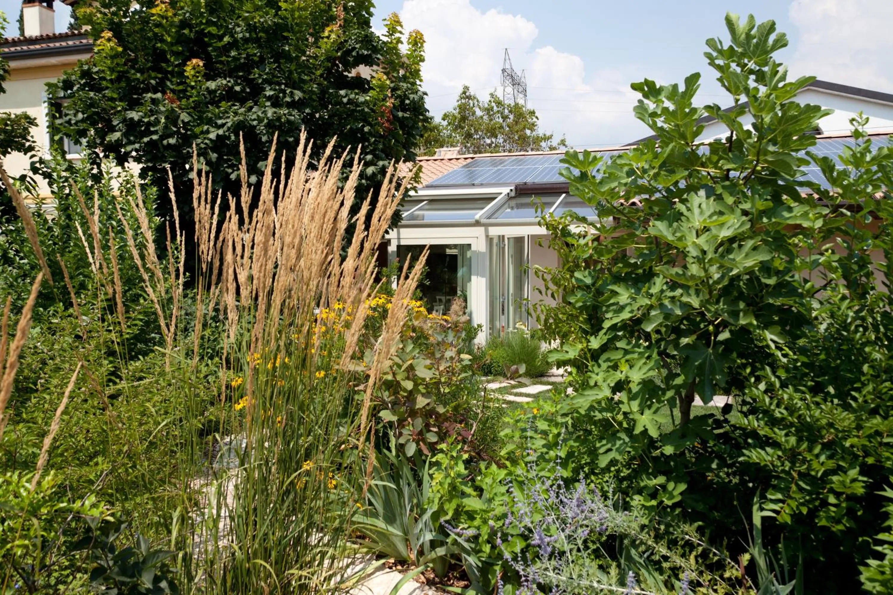 Garden in Boccadibacco