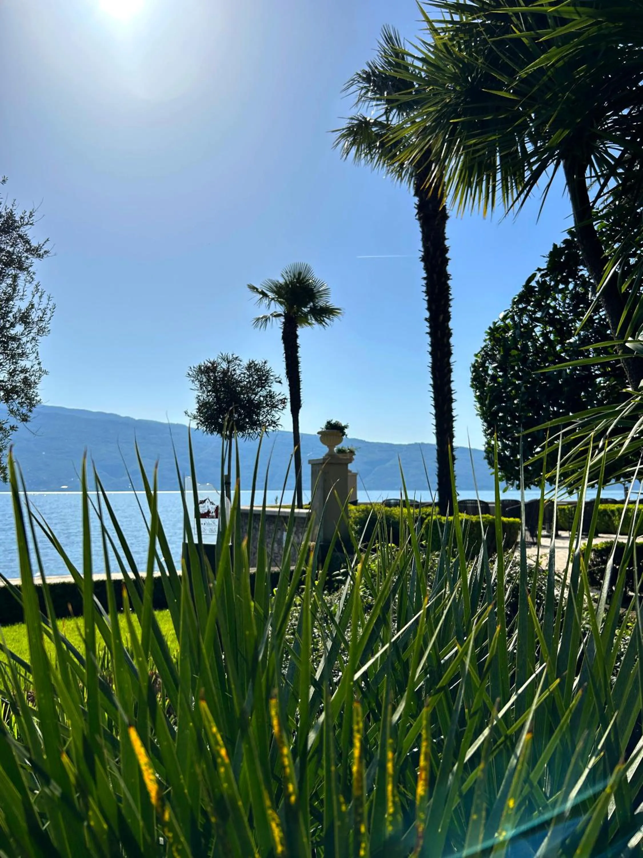 Garden in Hotel Villa Giulia