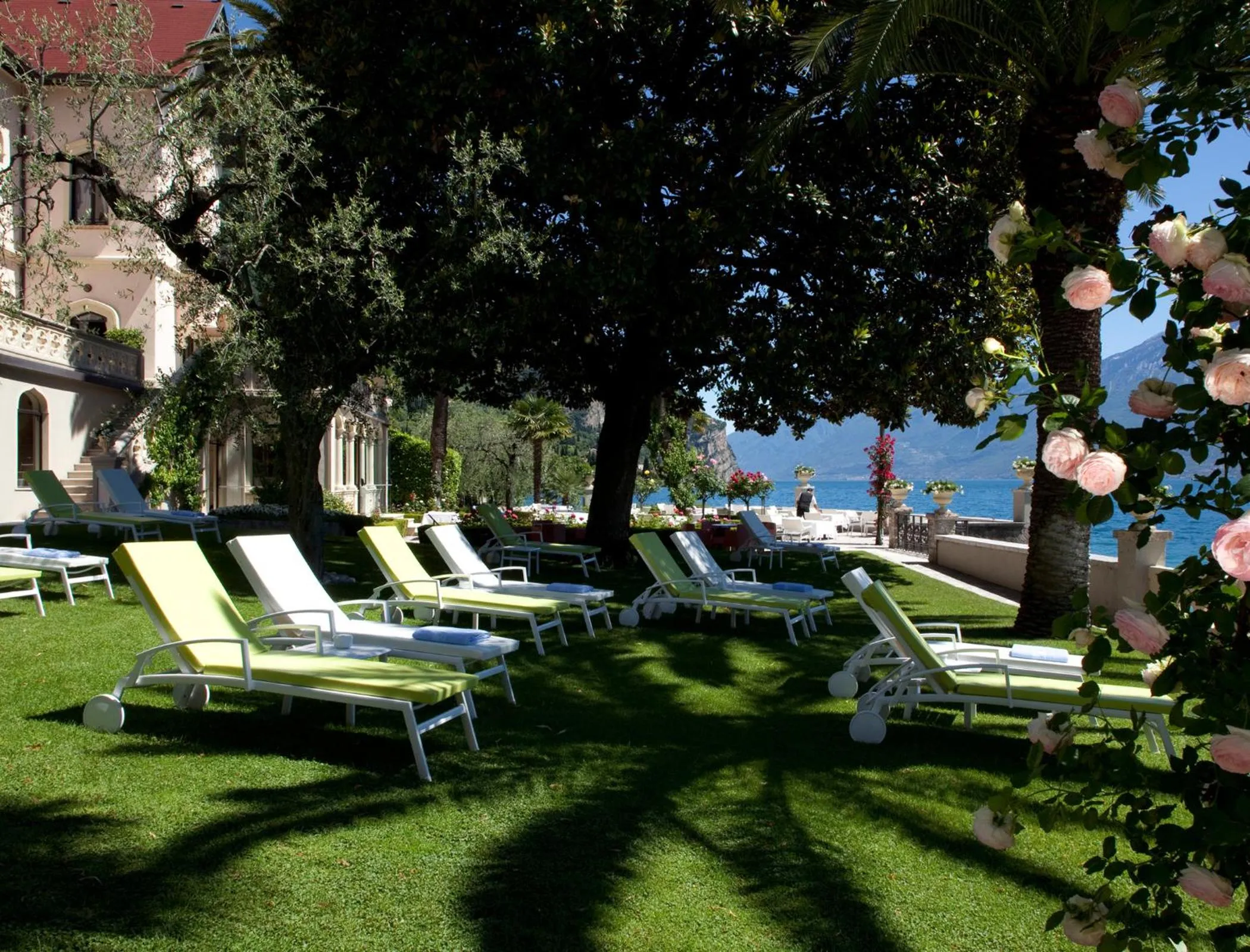 Garden in Hotel Villa Giulia