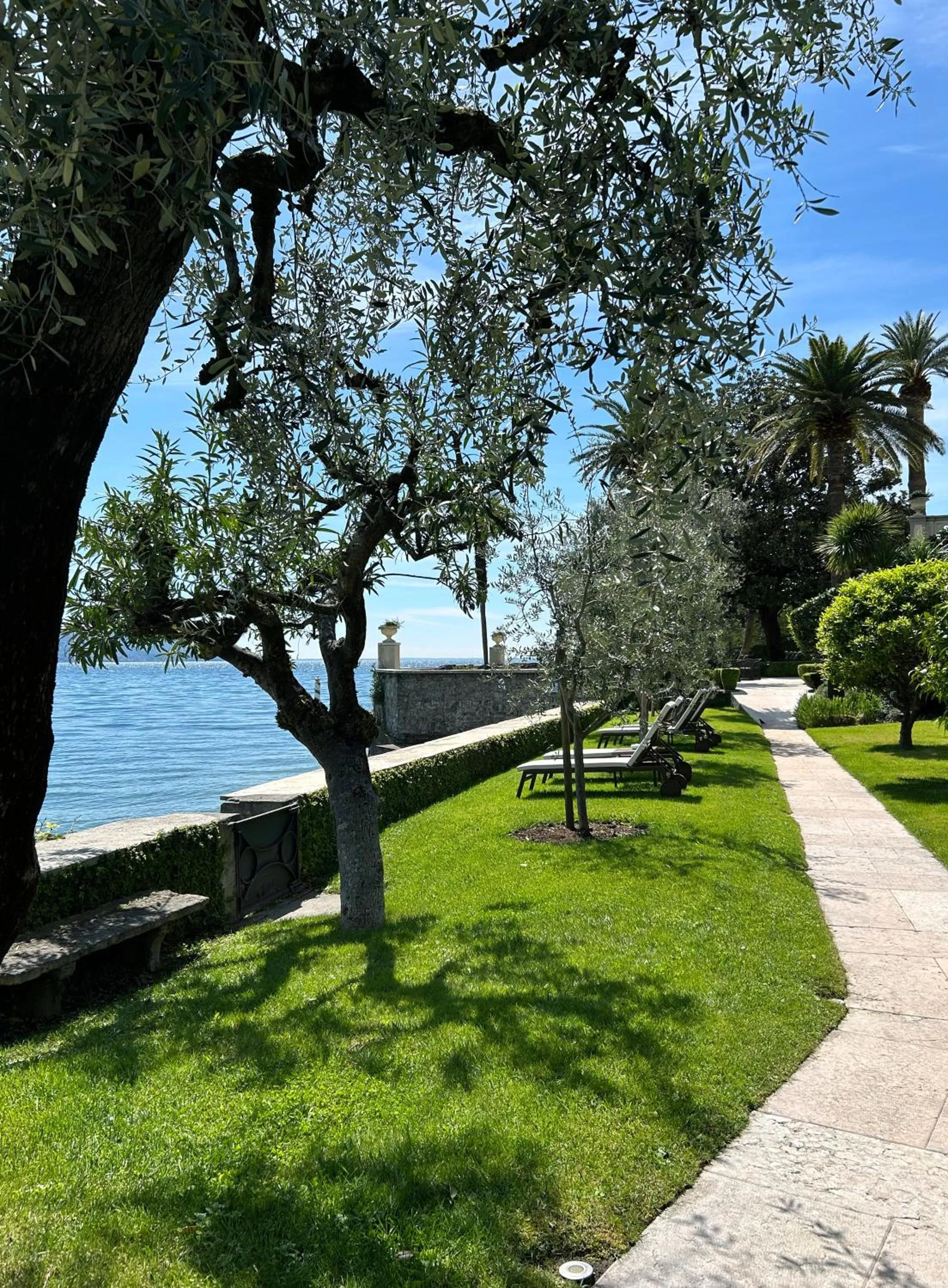 Garden in Hotel Villa Giulia