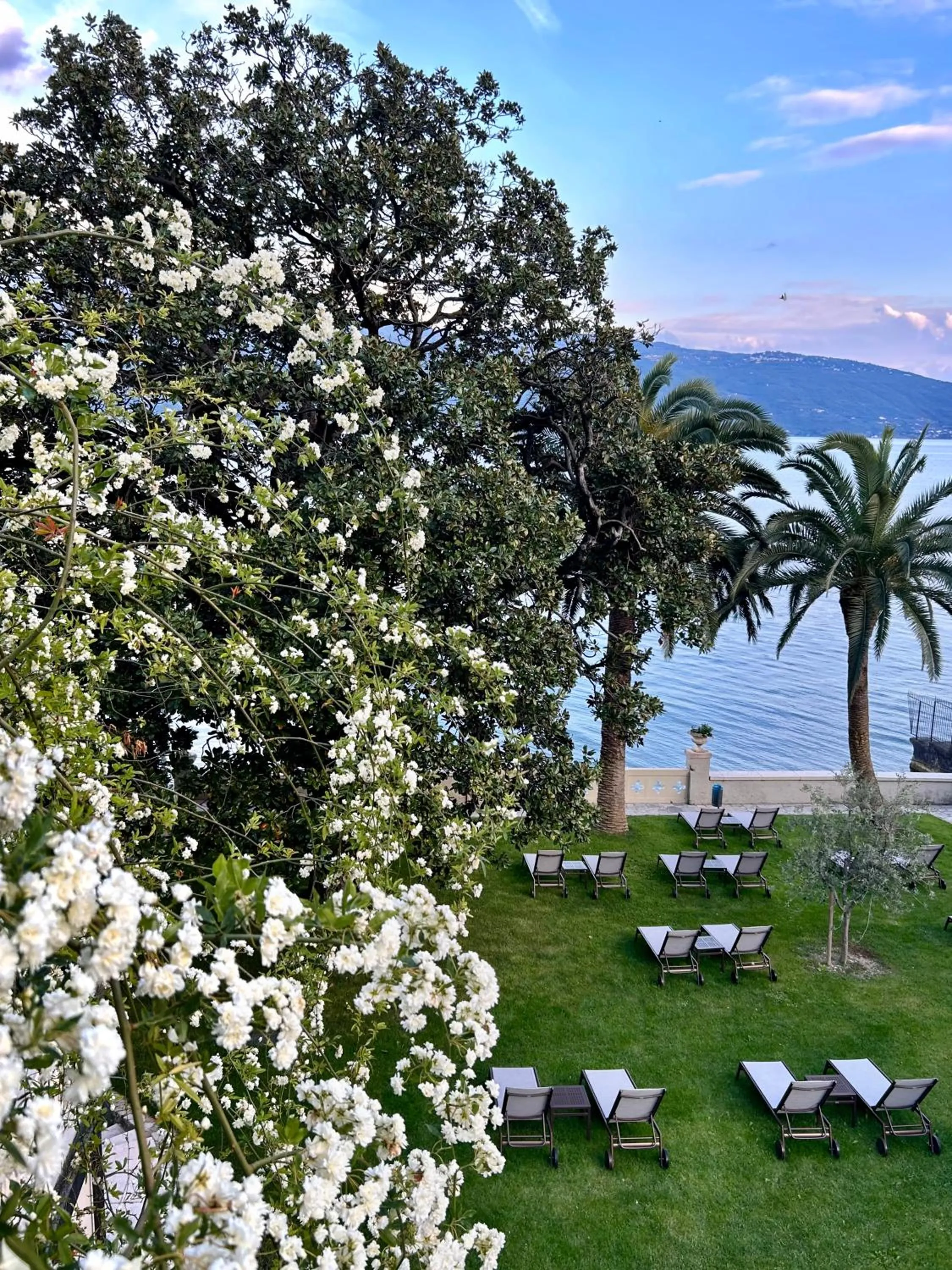 Garden in Hotel Villa Giulia