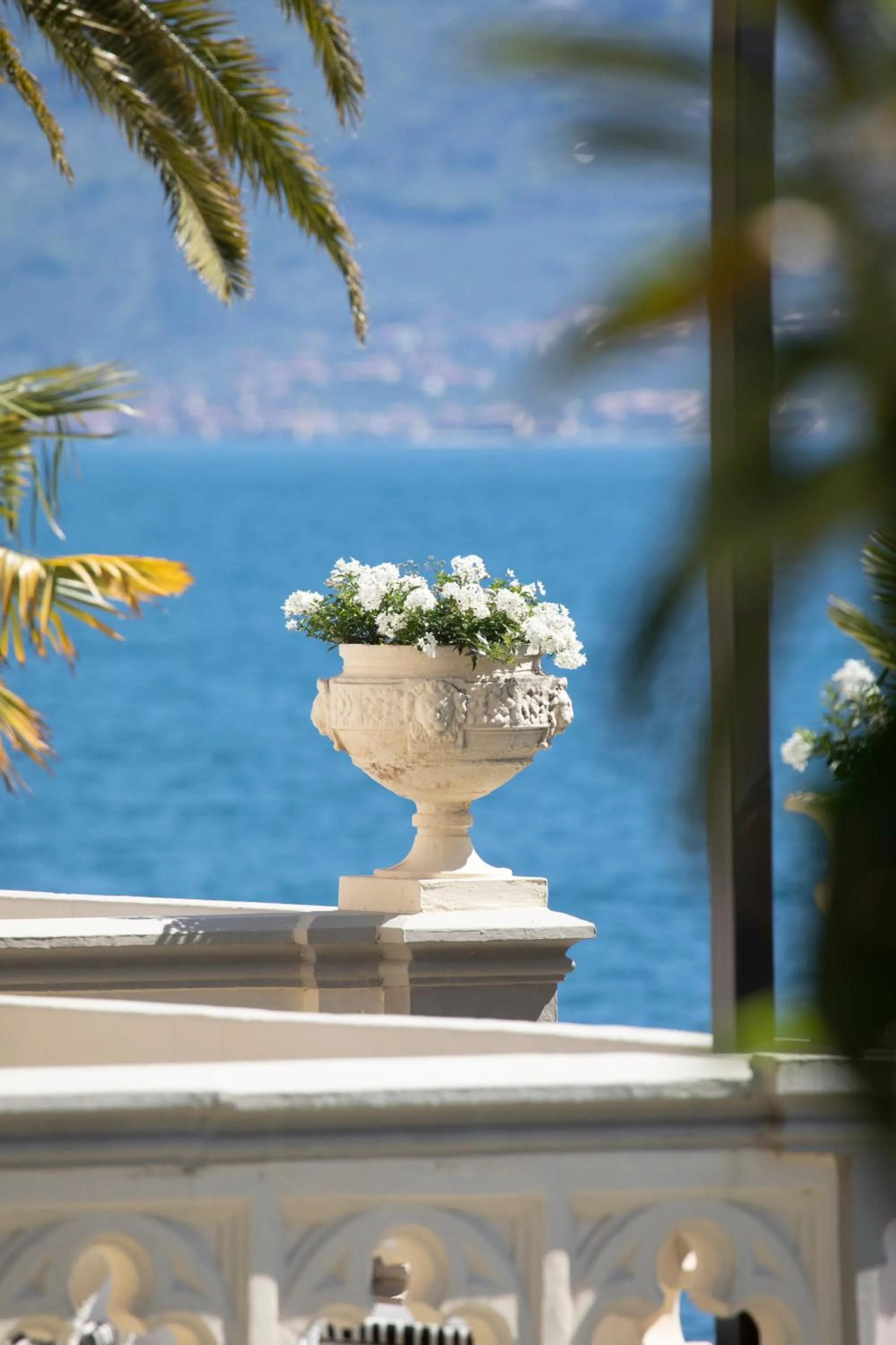 Garden in Hotel Villa Giulia
