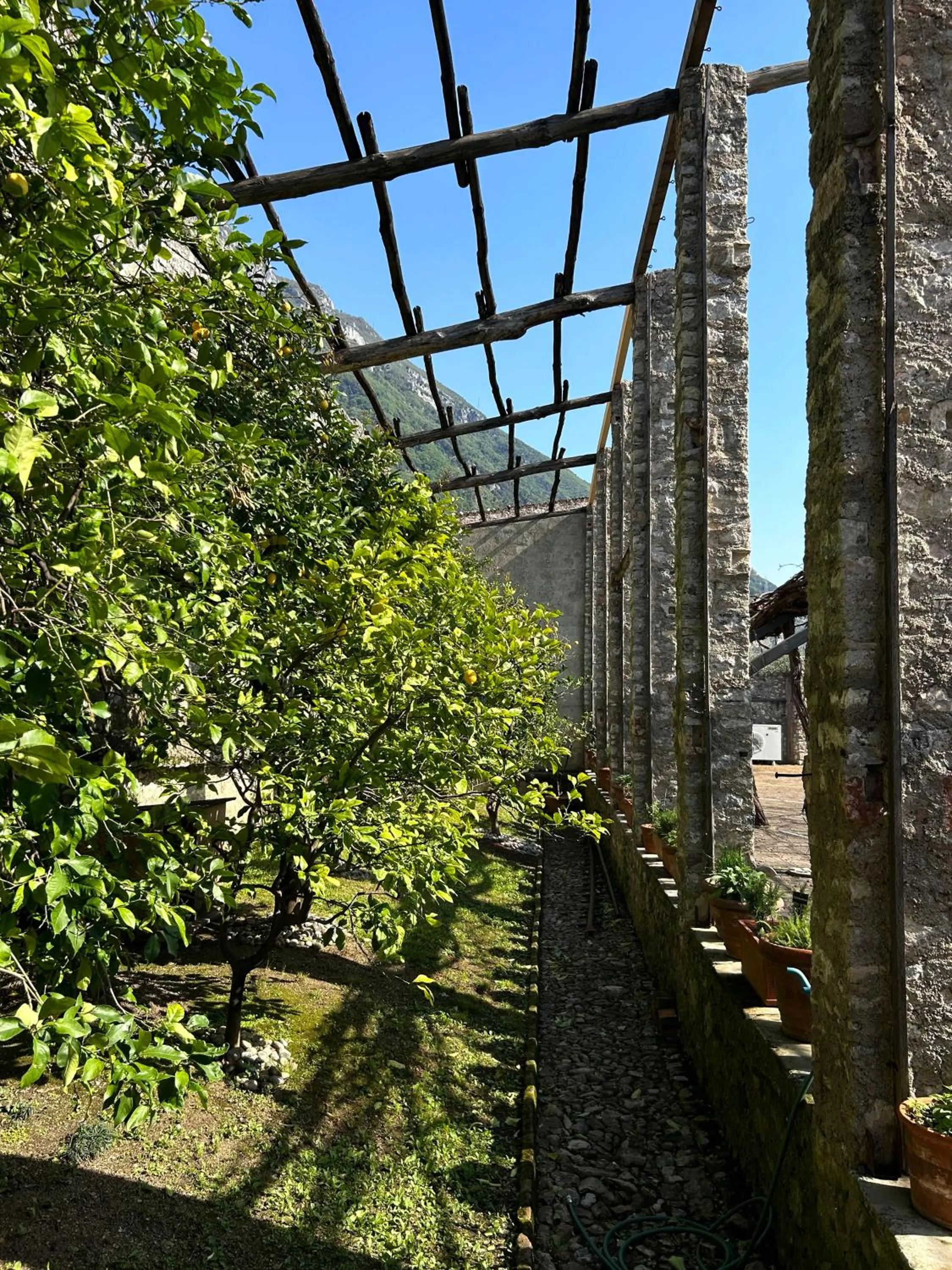 Garden in Hotel Villa Giulia