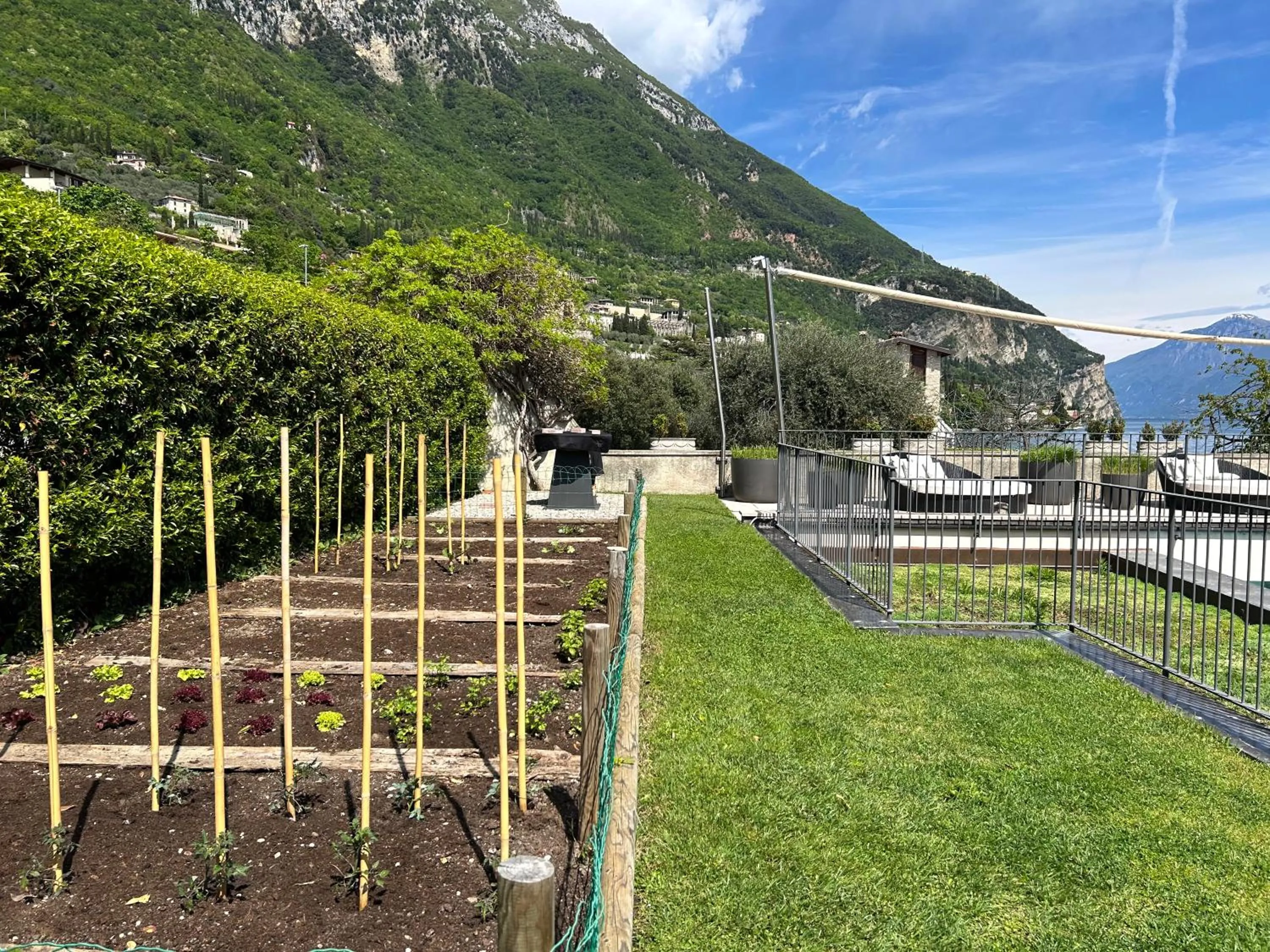 Garden in Hotel Villa Giulia